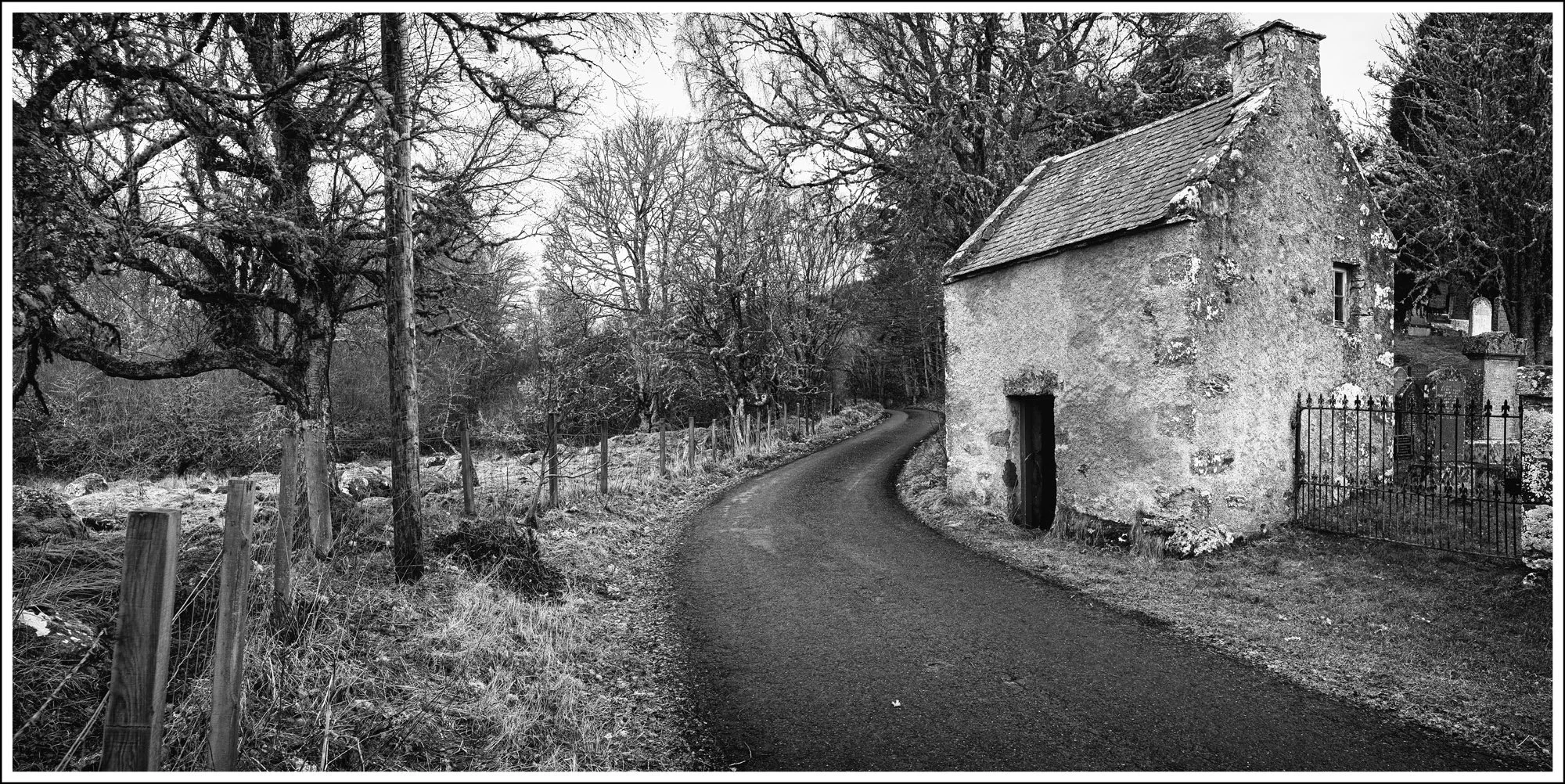 Tales of the BOdy Snatchers