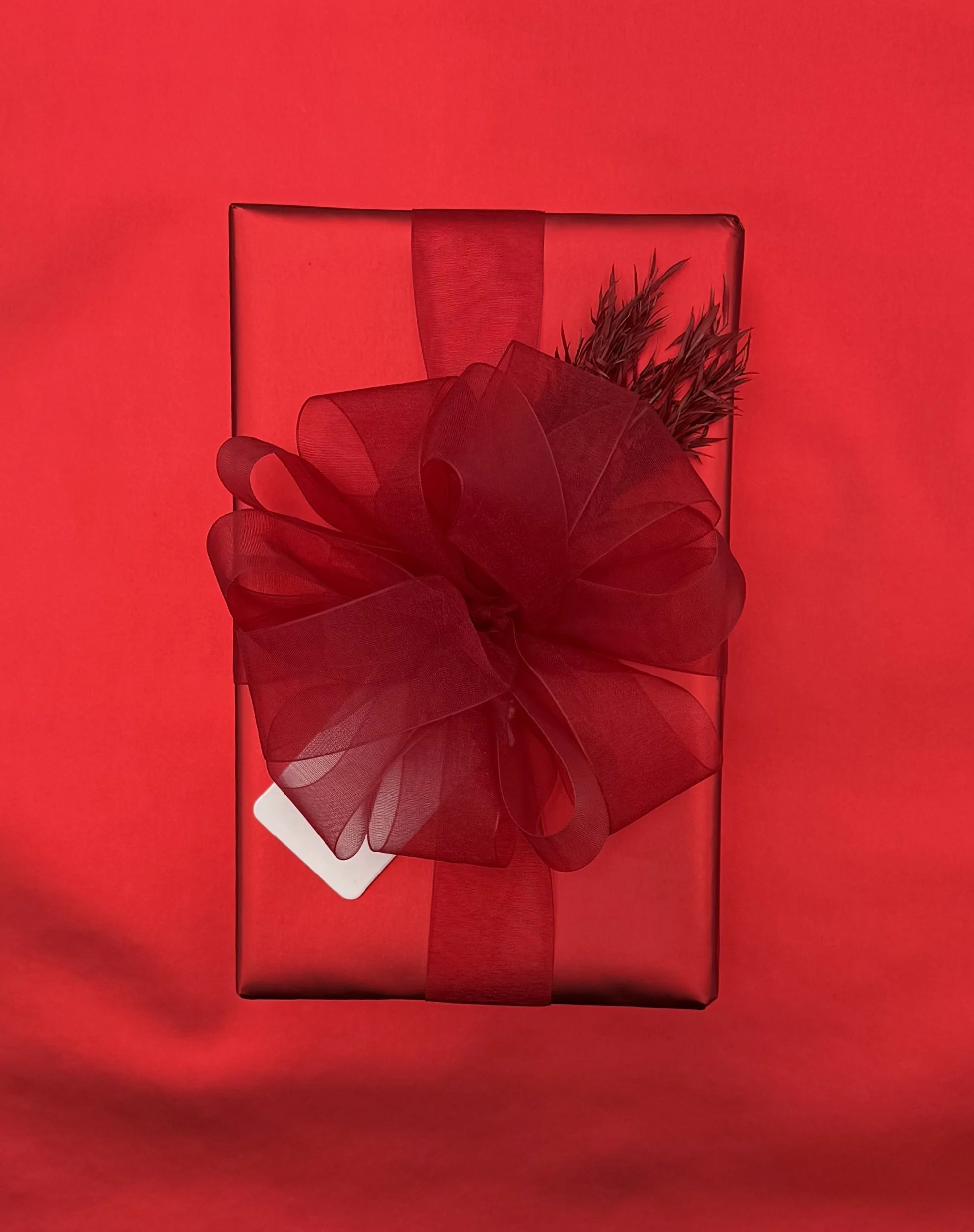 Red gift box wrapped with a red ribbon and bow, placed on a red background.