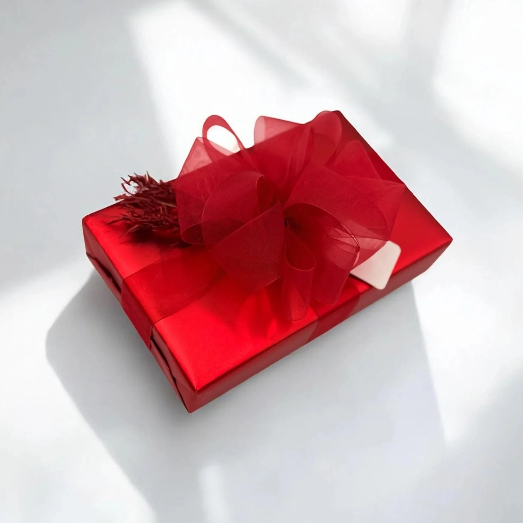 Red gift box wrapped with red ribbon and bow on a white background.