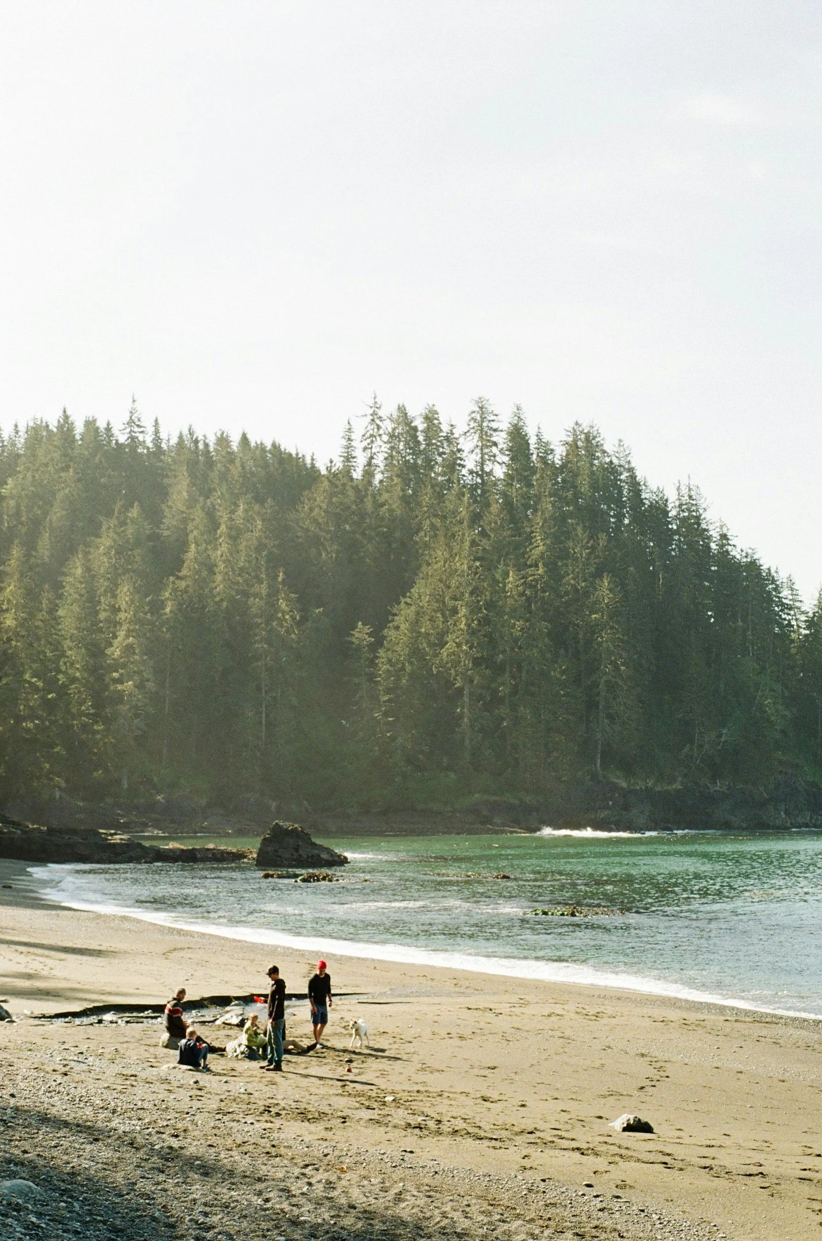 People on a sandy beach with a forested hill in the background, near the ocean.