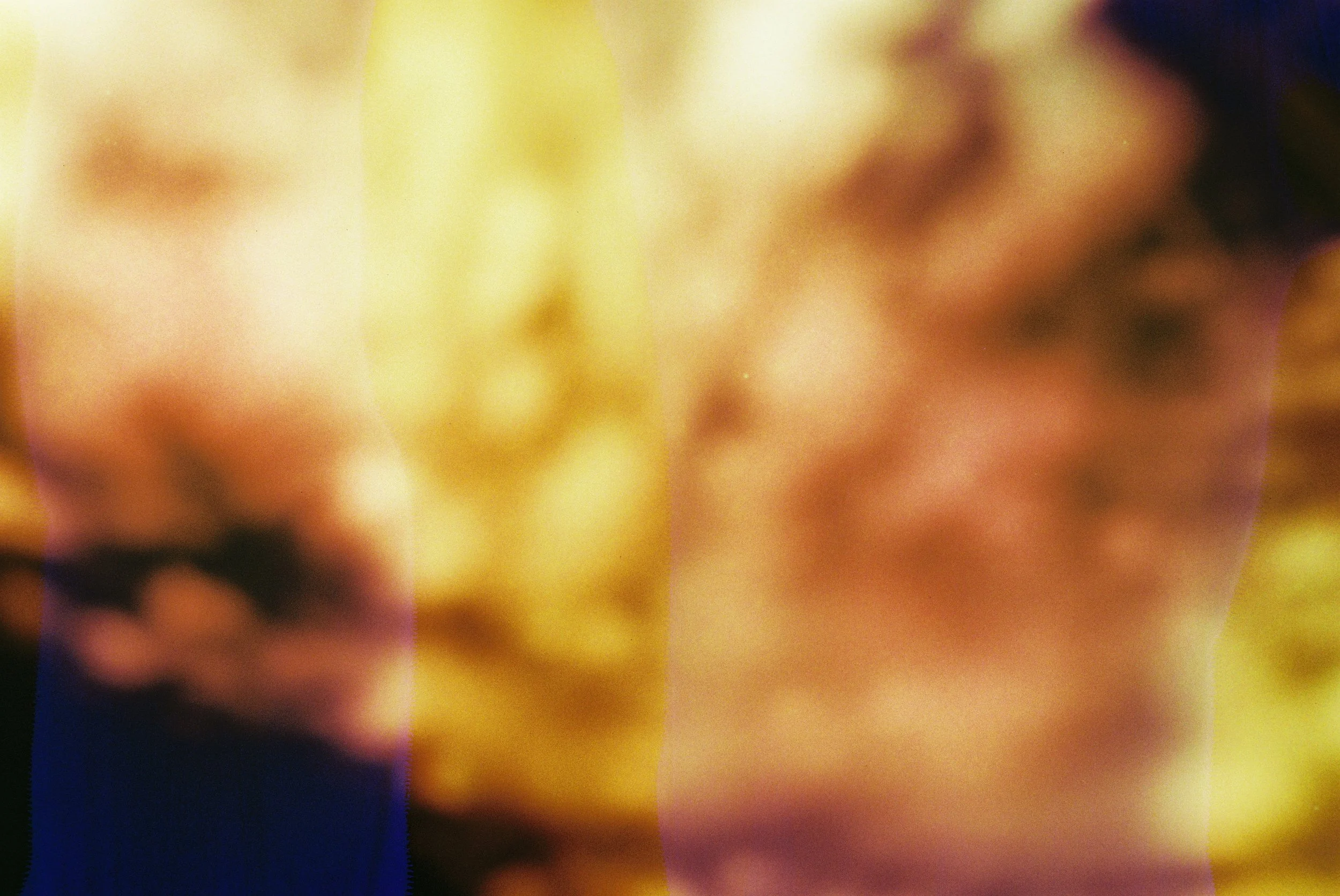 HIDDEN FLOWERS_04.JPG