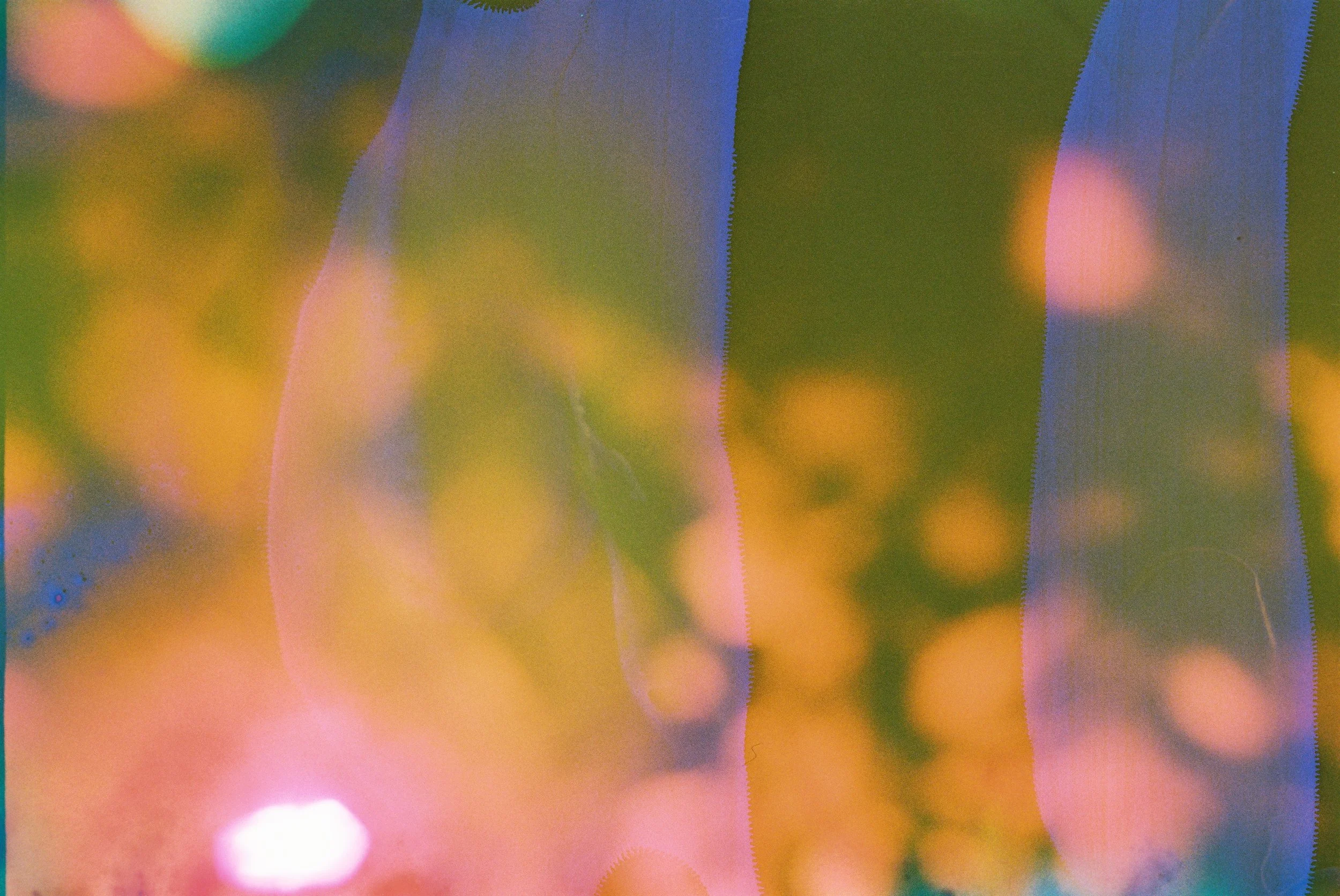 HIDDEN FLOWERS_03.JPG