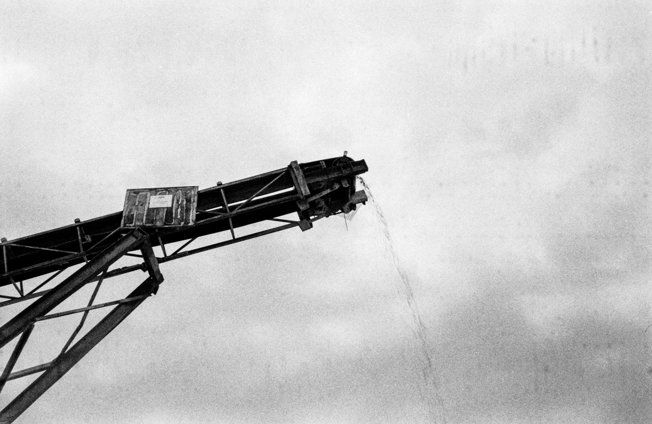 MECHANICAL ANIMALS_04.jpg