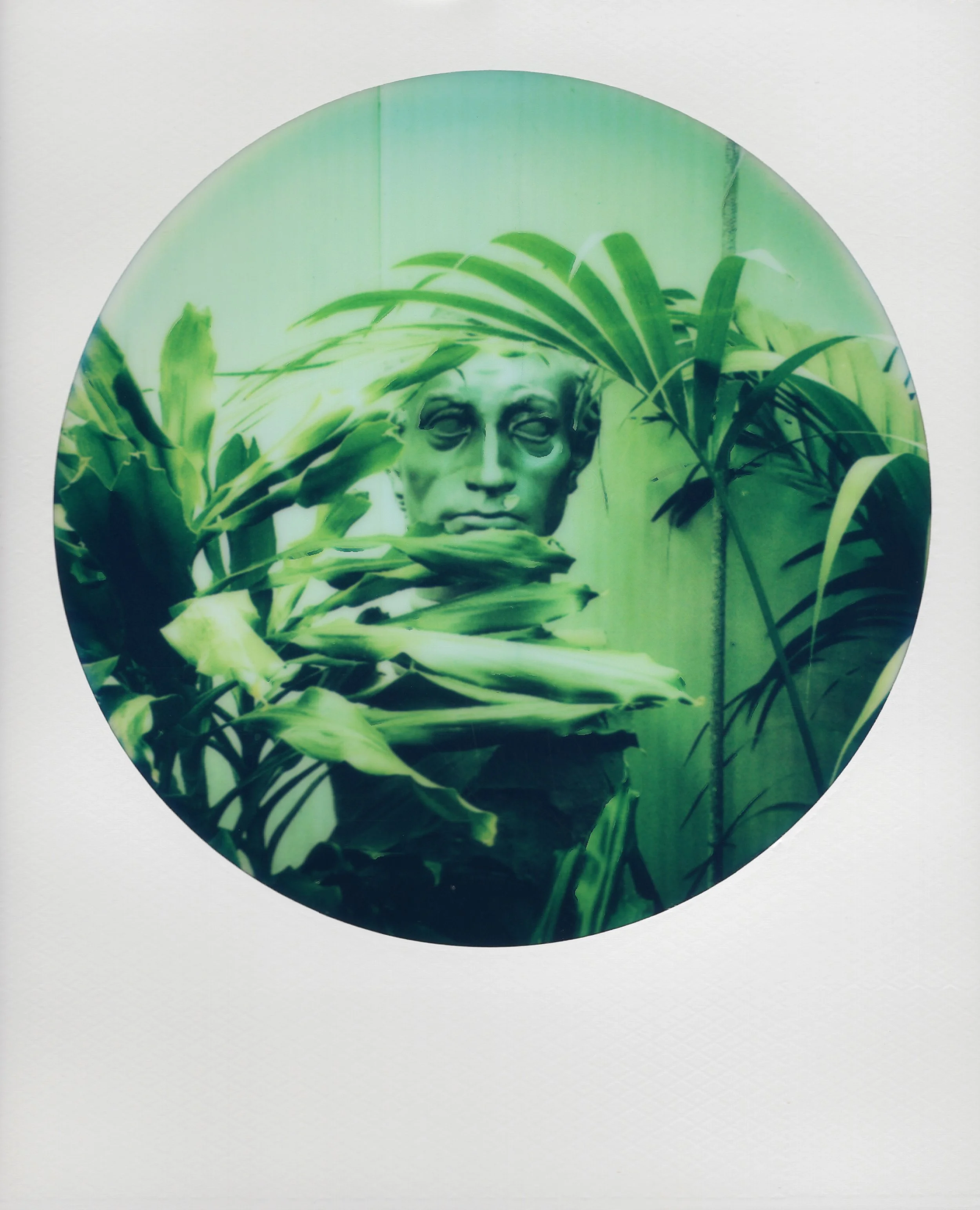 Άγιο κρασί04.jpg