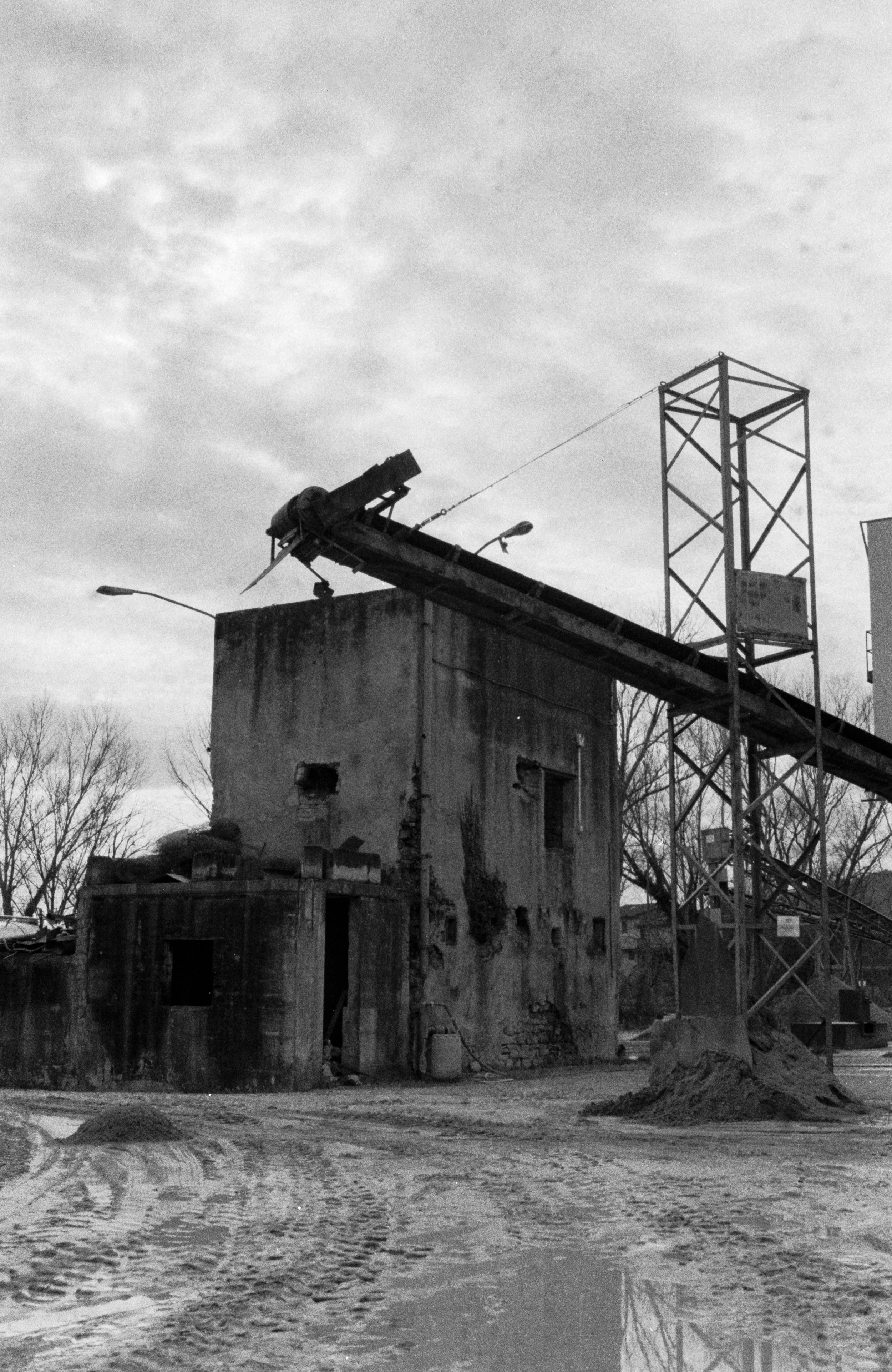 MECHANICAL ANIMALS_07.jpg