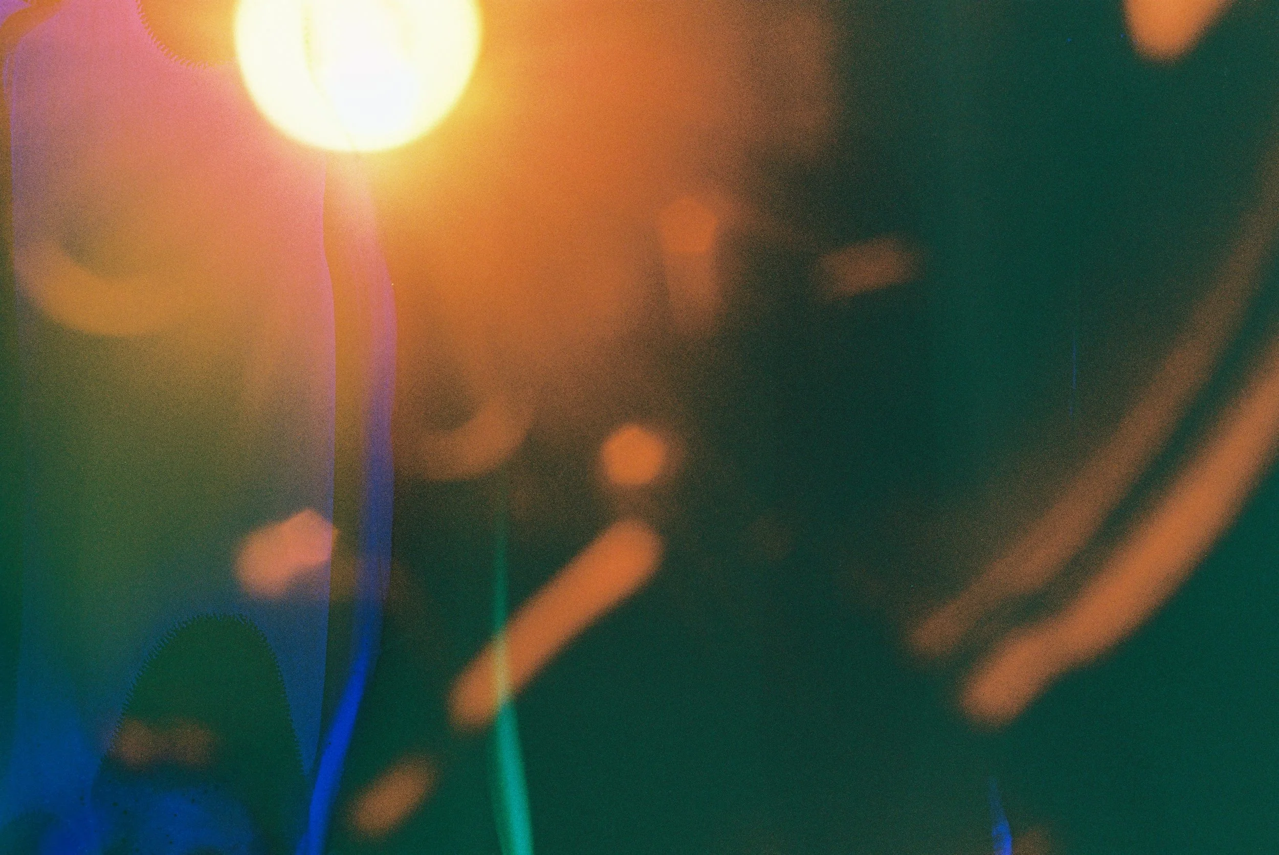 HIDDEN FLOWERS_01.JPG