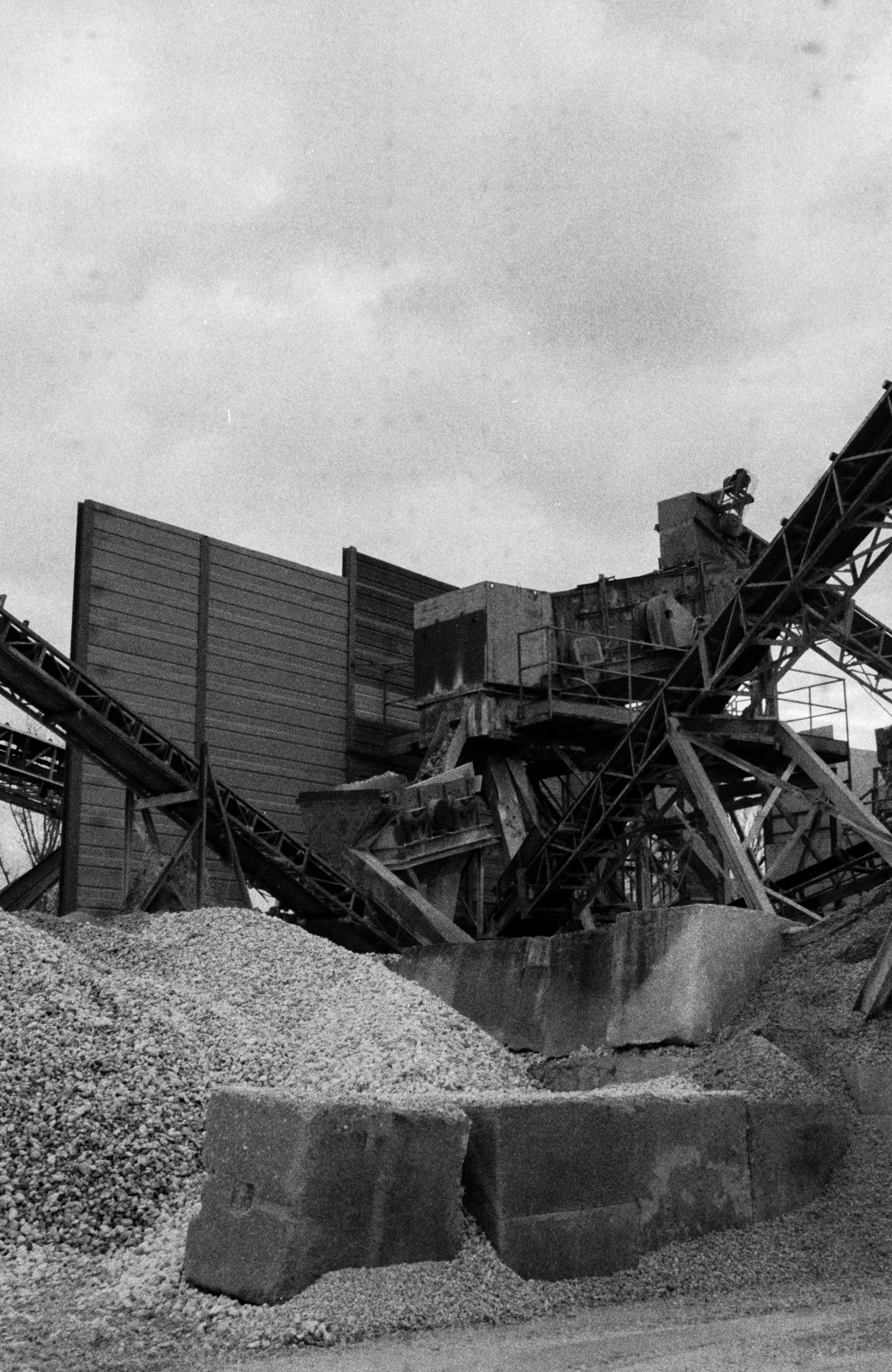 MECHANICAL ANIMALS_09.jpg