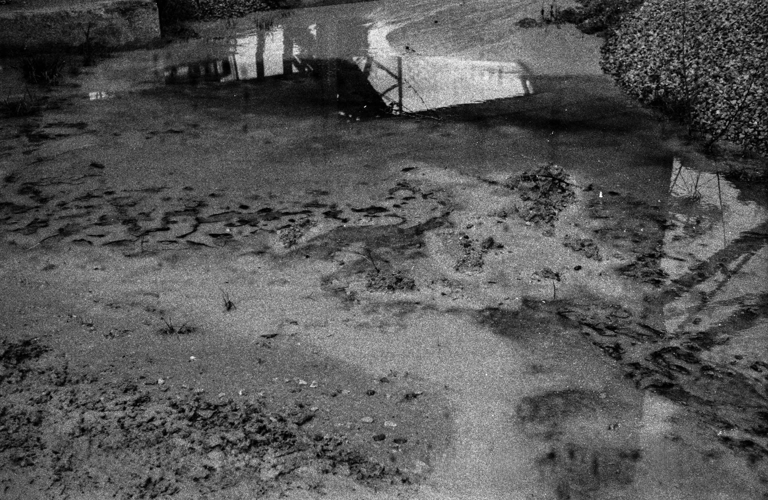 MECHANICAL ANIMALS_08.jpg