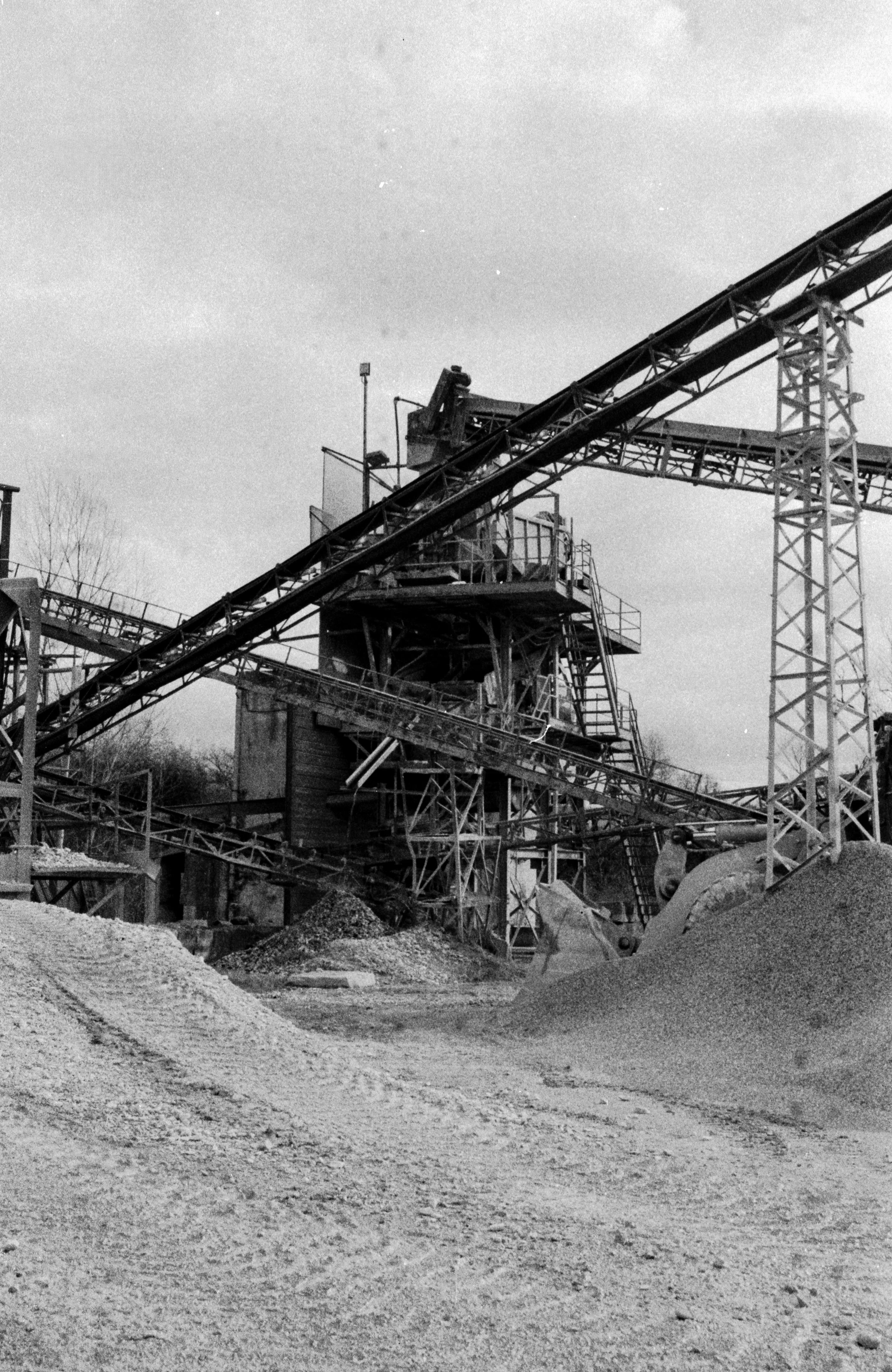 MECHANICAL ANIMALS_03.jpg