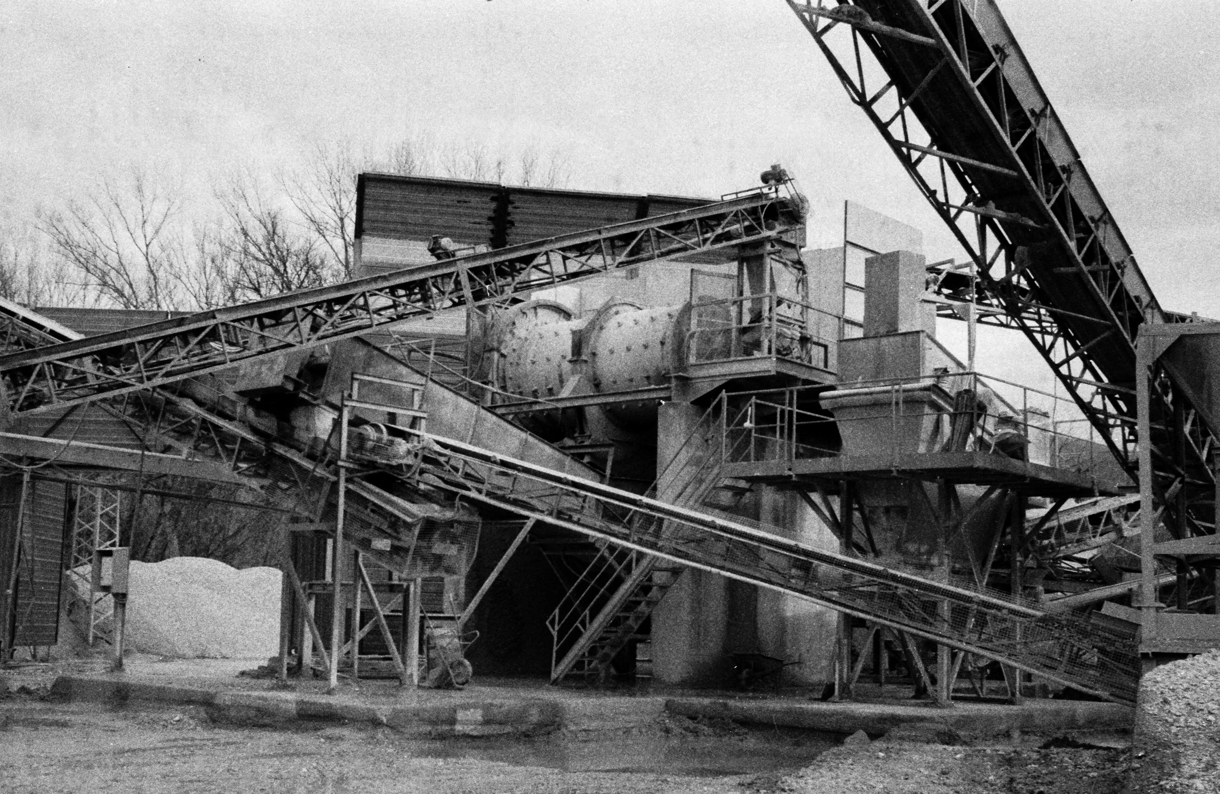 MECHANICAL ANIMALS_06.jpg