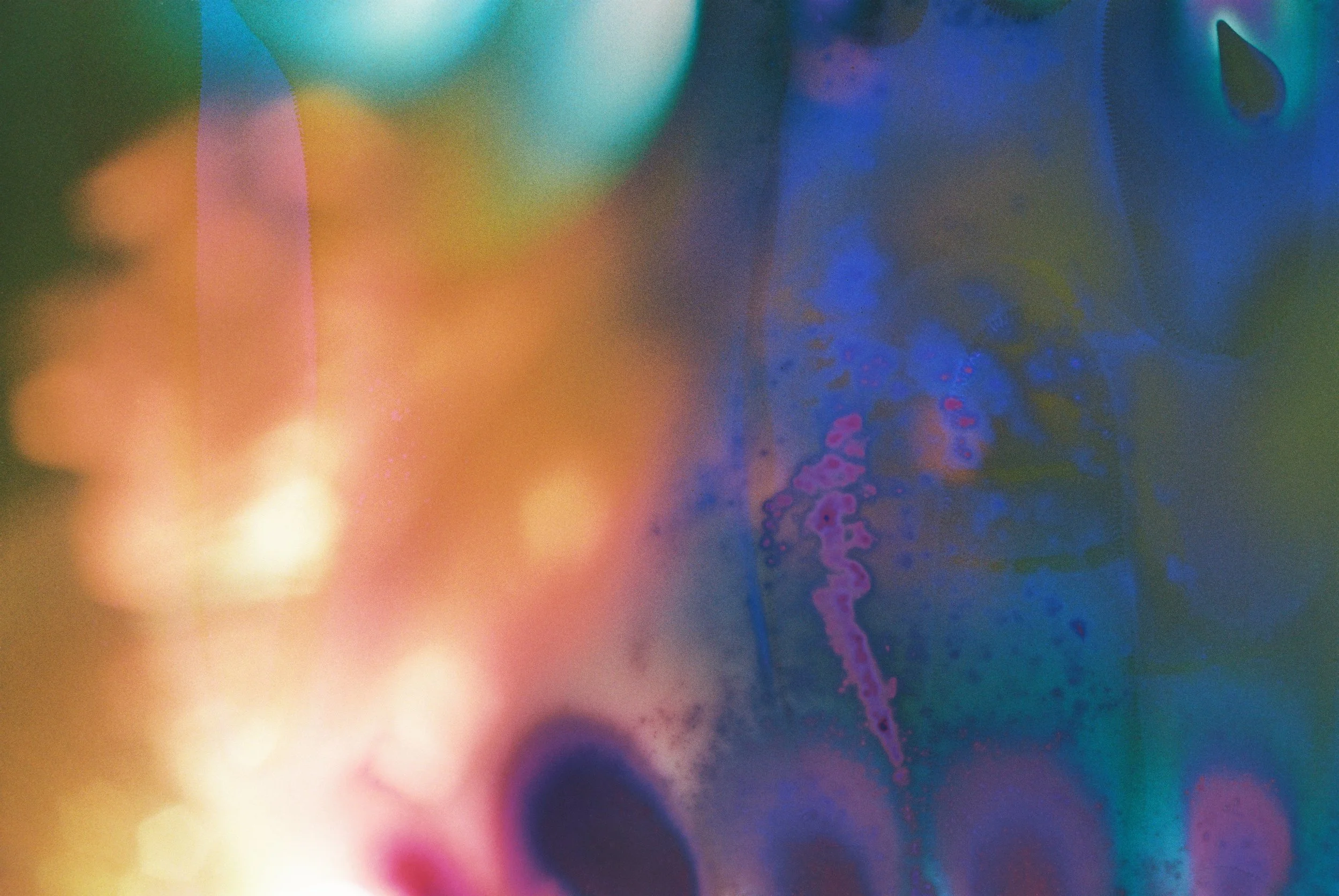 HIDDEN FLOWERS_05.JPG