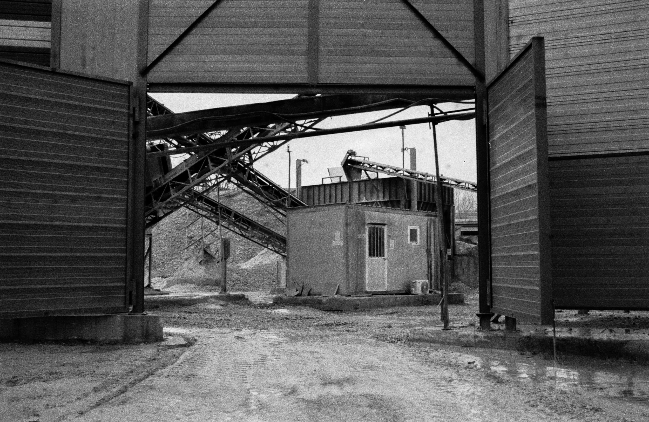 MECHANICAL ANIMALS_02.jpg