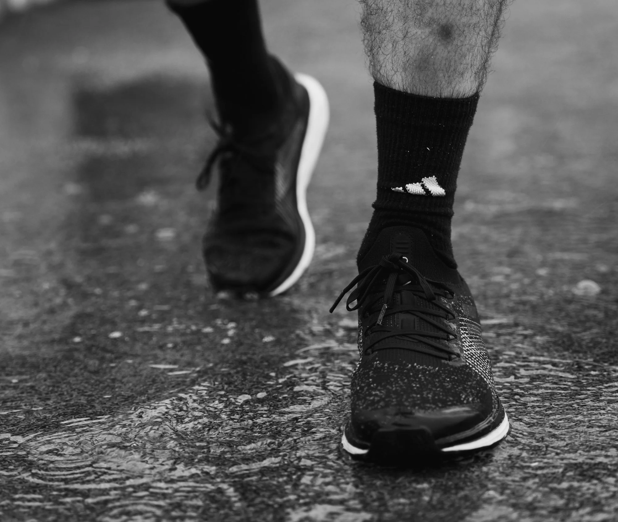 (c) Johannes Zeiler-6 Kopie.jpg