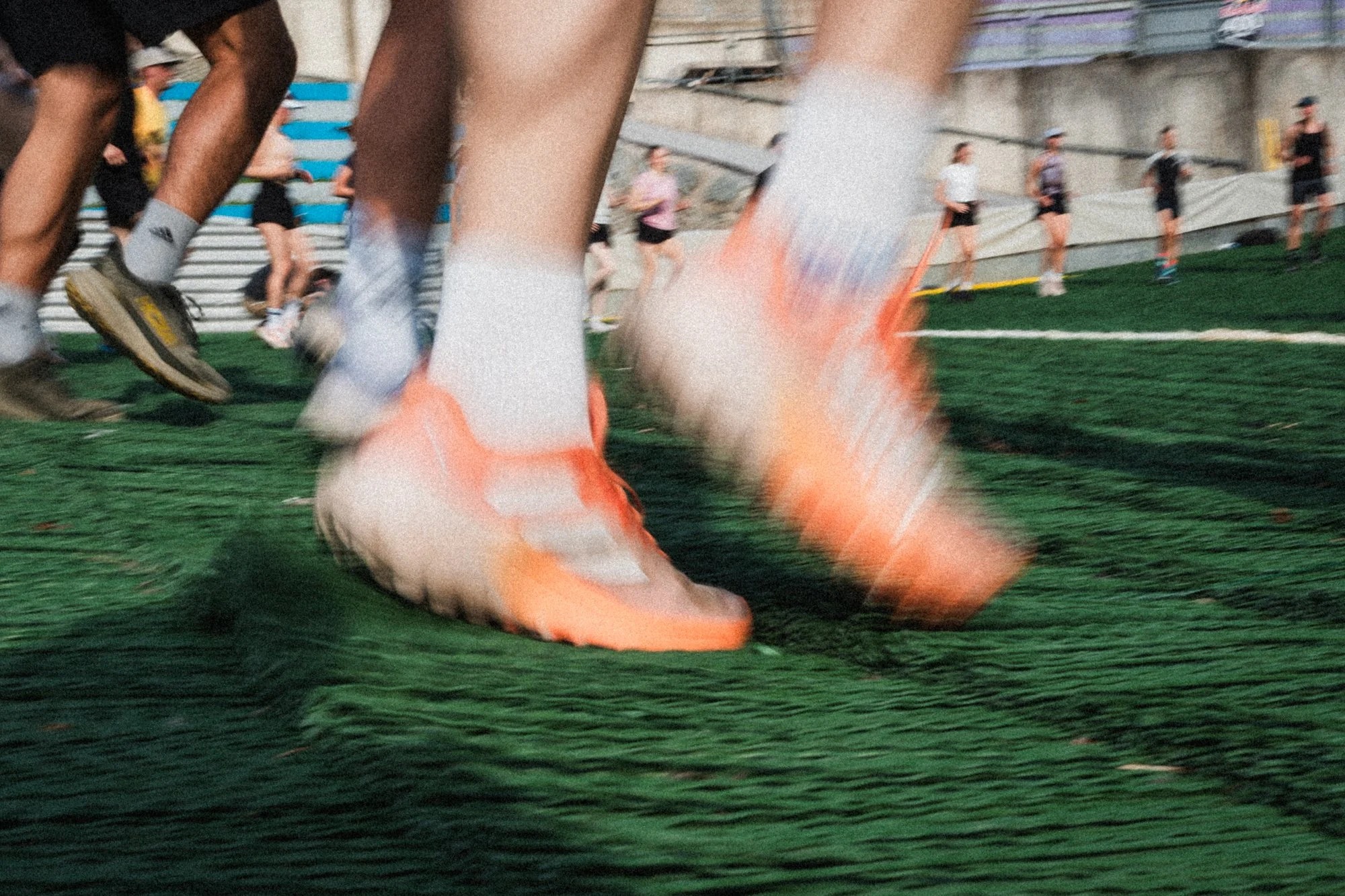 (c) Johannes Zeiler-3.jpg