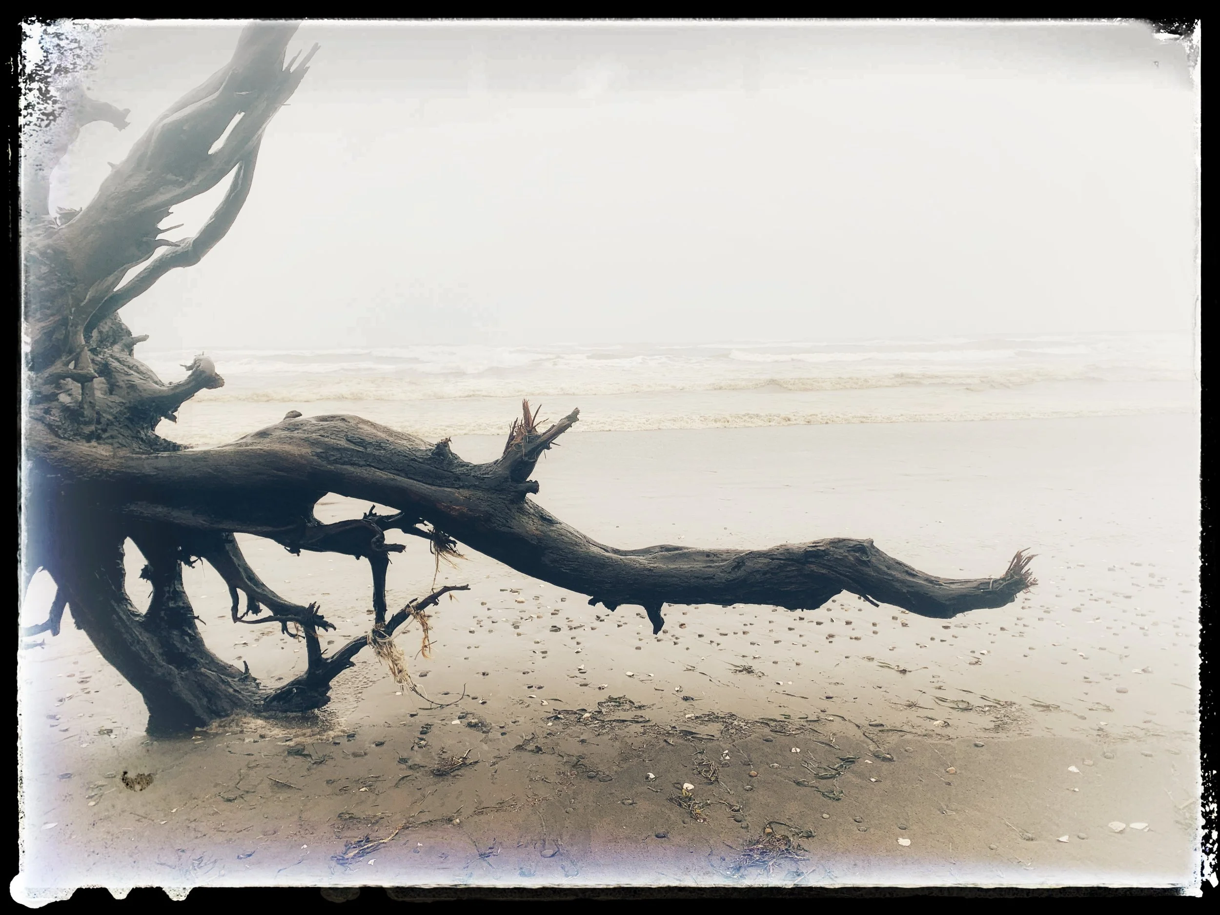 On Relationship Requests, Boundaries, and Freedom