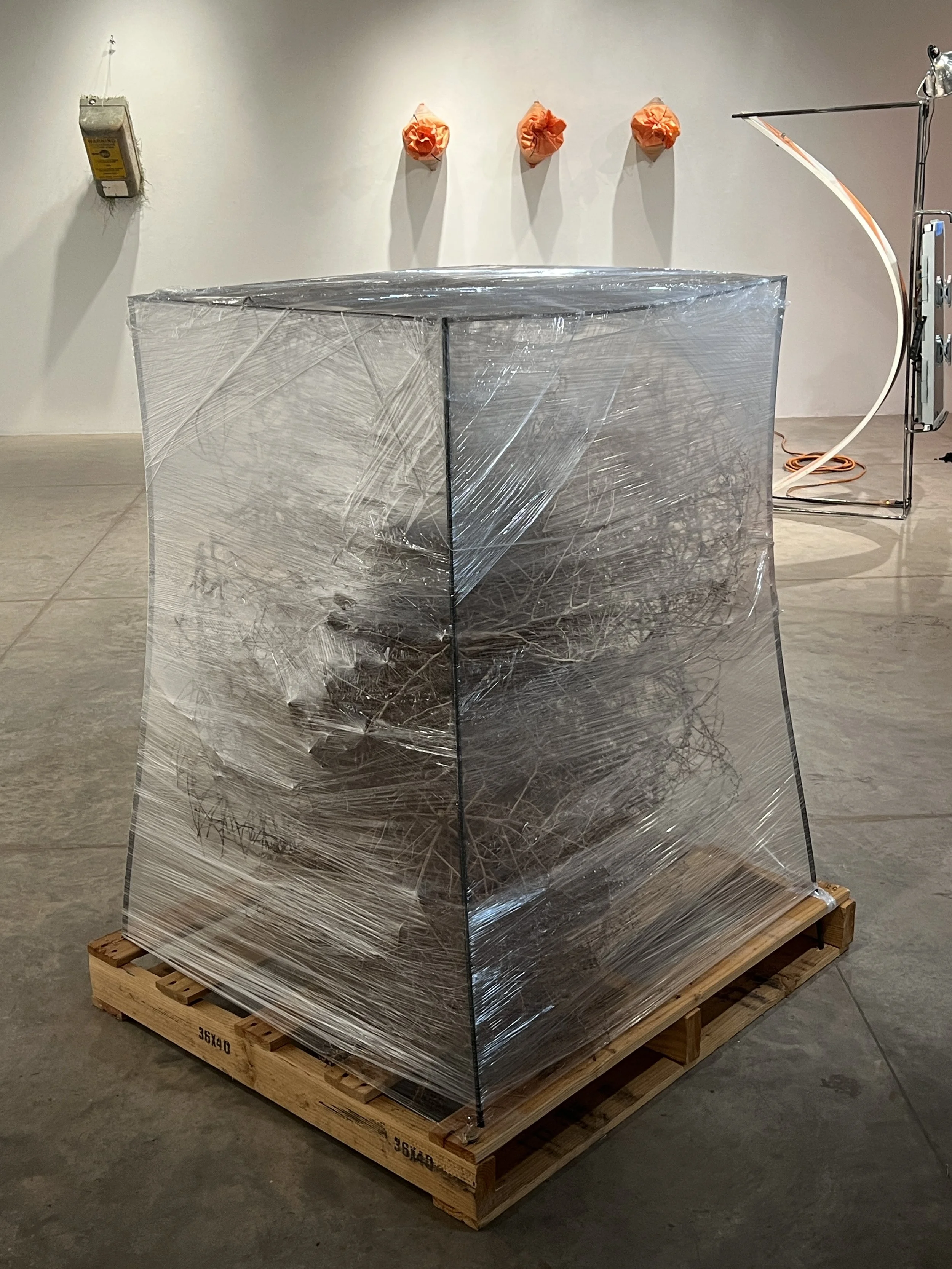 Ready to Ship #1, Wood, saran wrap, tumbleweeds, 2024