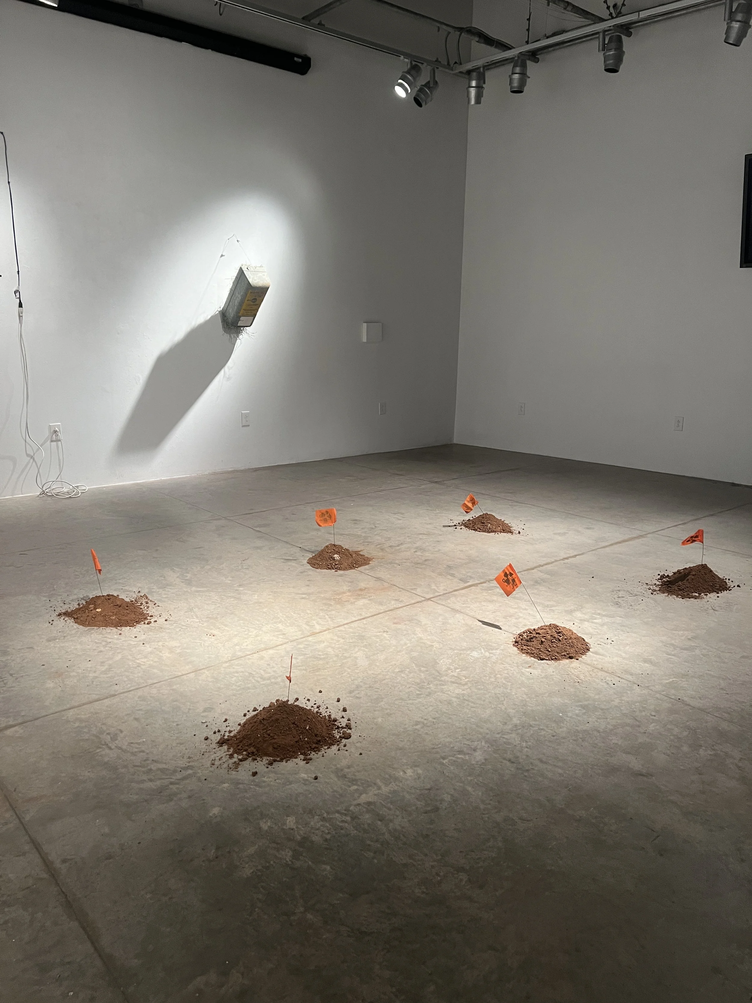 Dancing Flags, Dirt, 