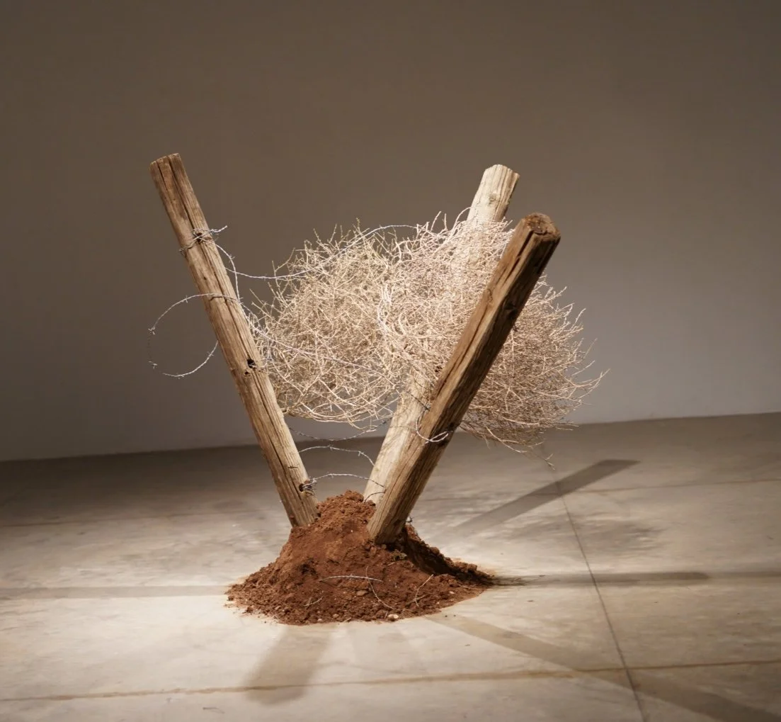 Tumbled, Wood, dirt, barbwire, tumbleweeds, 50x24x34 in, 2025