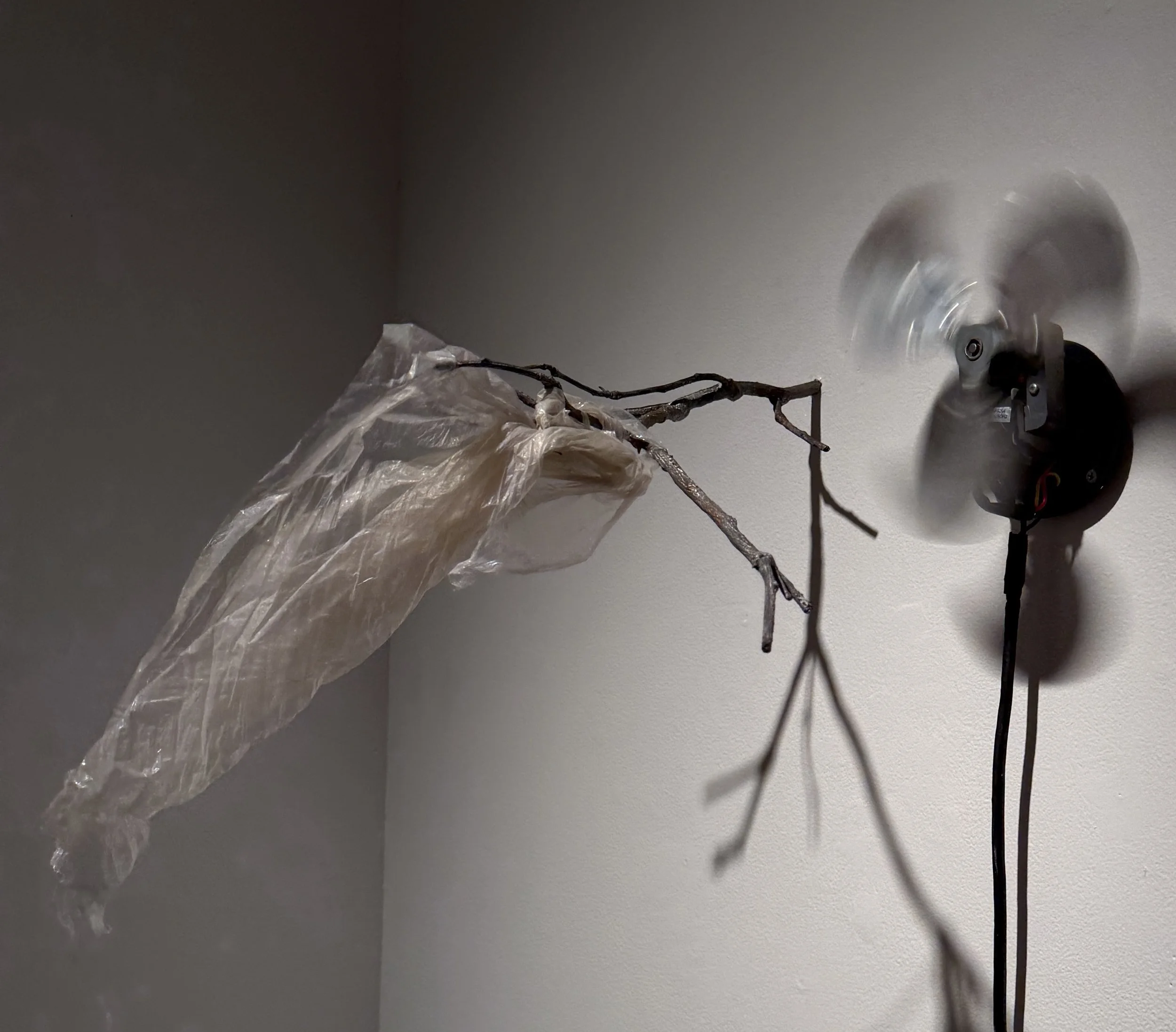 Glimpse, Plastic bag, fan, bronze, 61x14x12 in, 2025