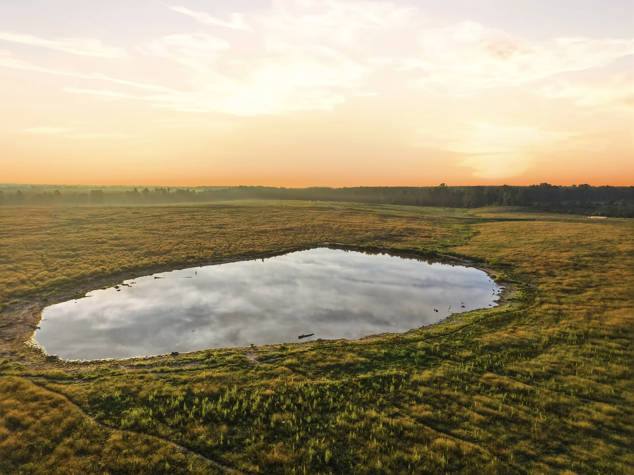 275_Sam_Graham_Drone_009.jpg