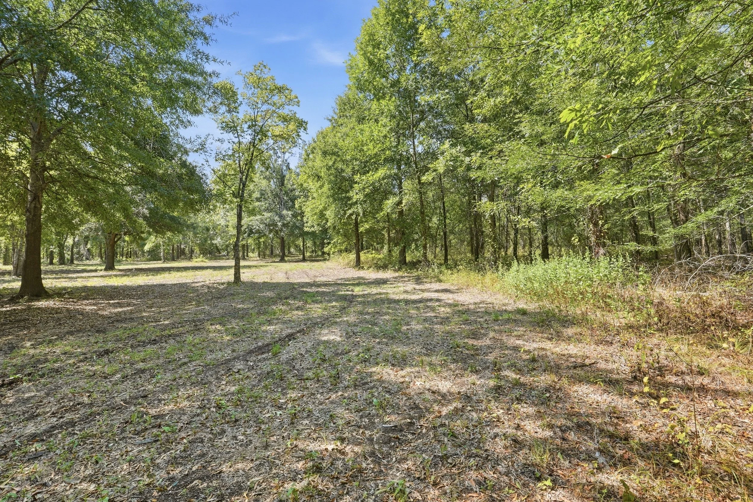 1501_Big_Widow_Bayou_HDR_006.jpg