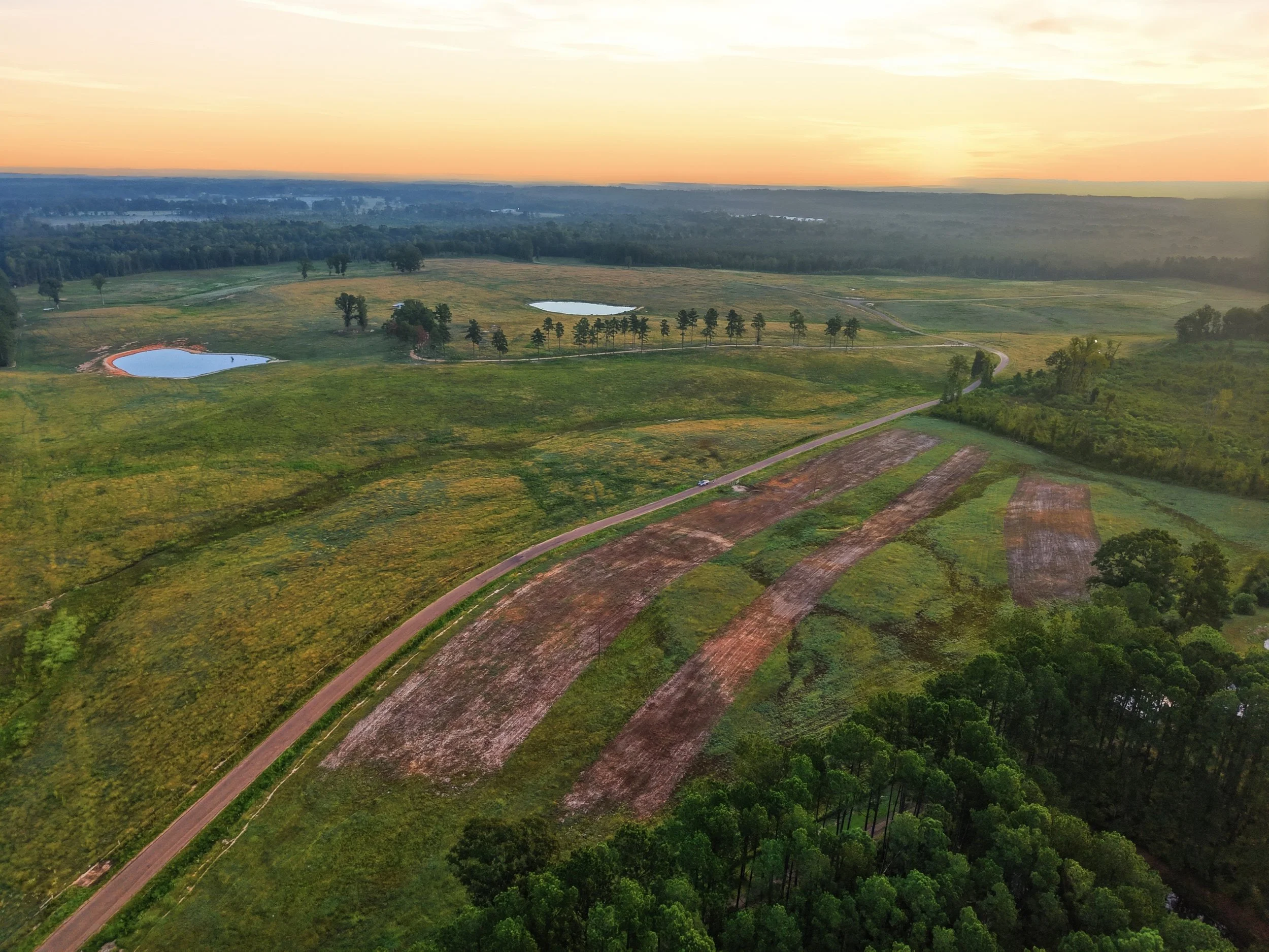 275_Sam_Graham_Drone_002.jpg