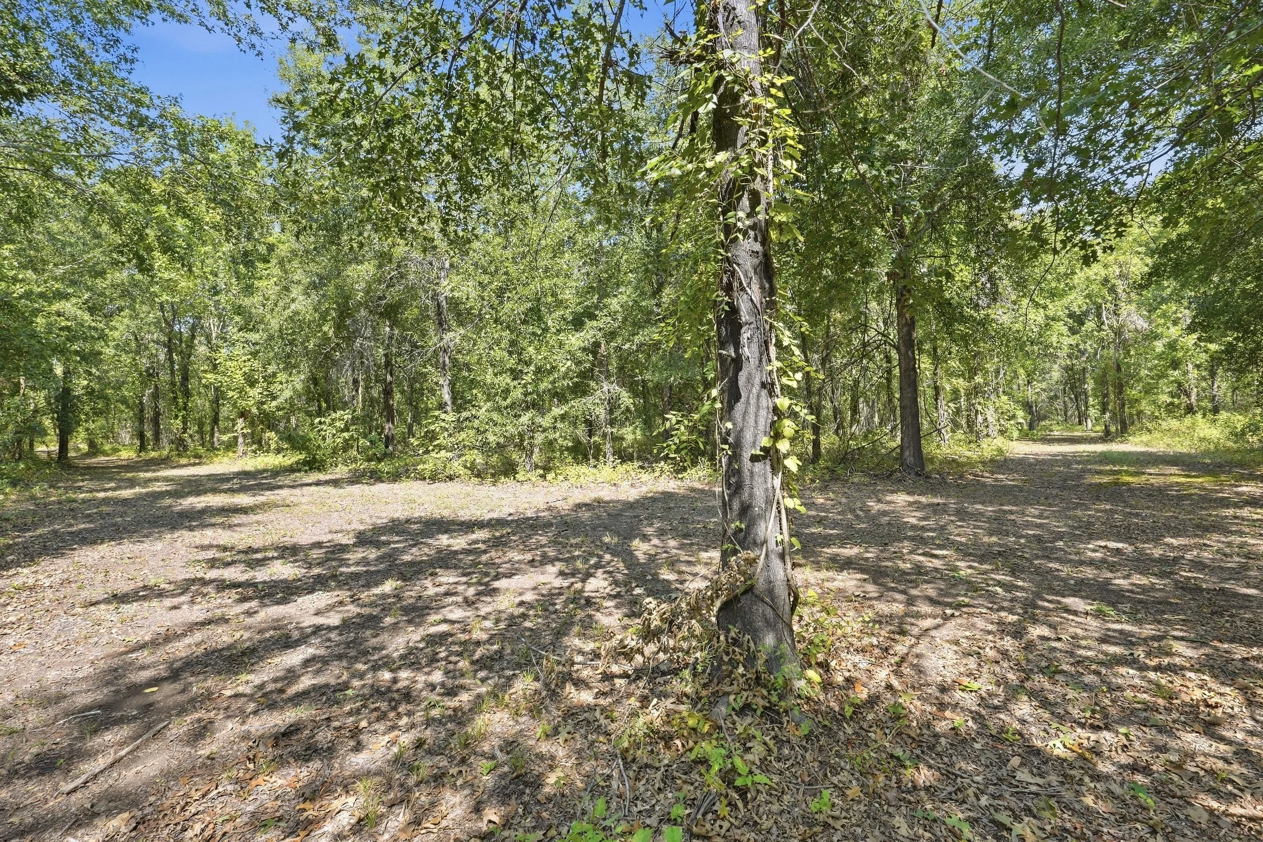 1501_Big_Widow_Bayou_HDR_001.jpg