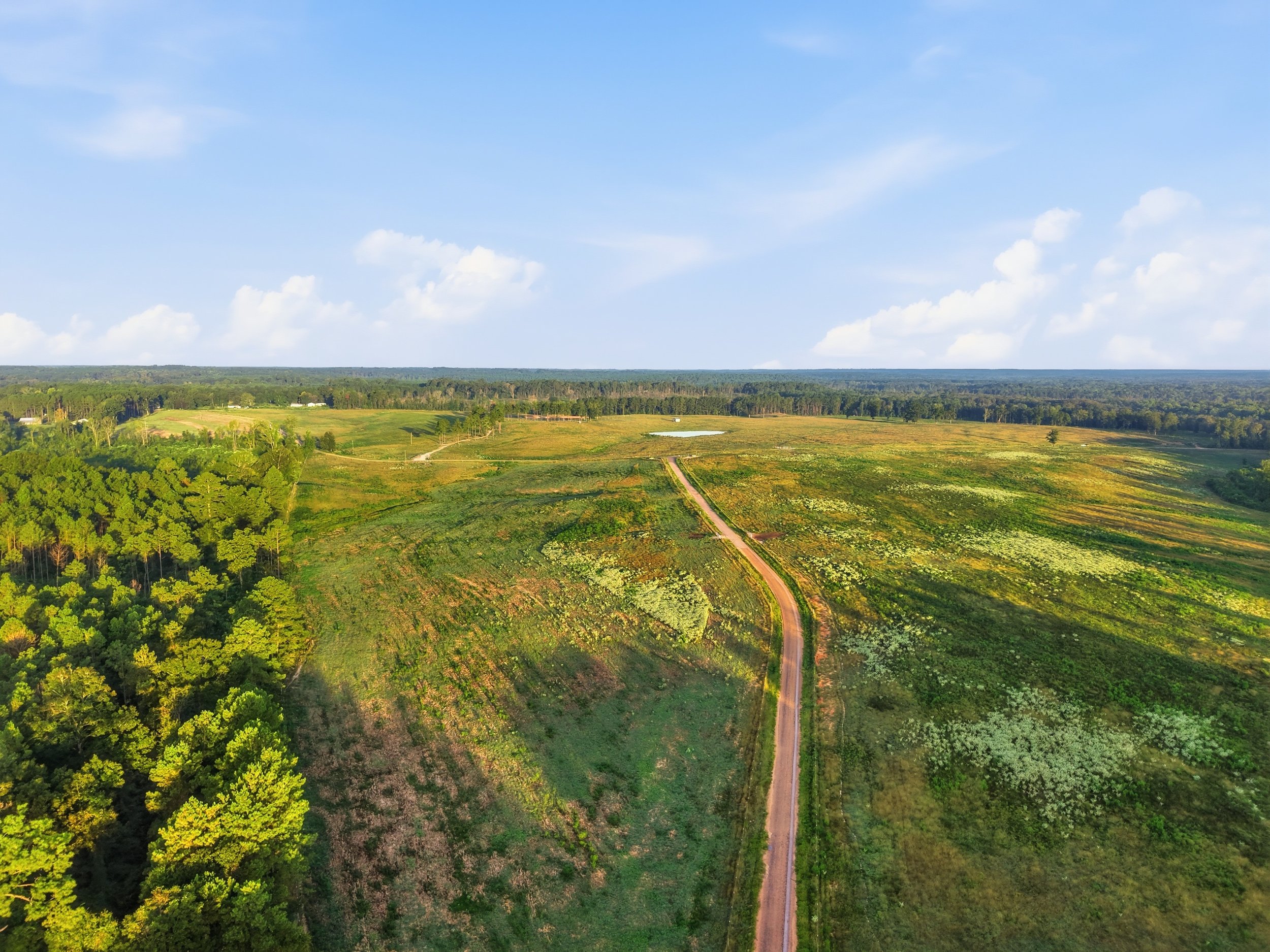 275_Sam_Graham_Drone_010.jpg