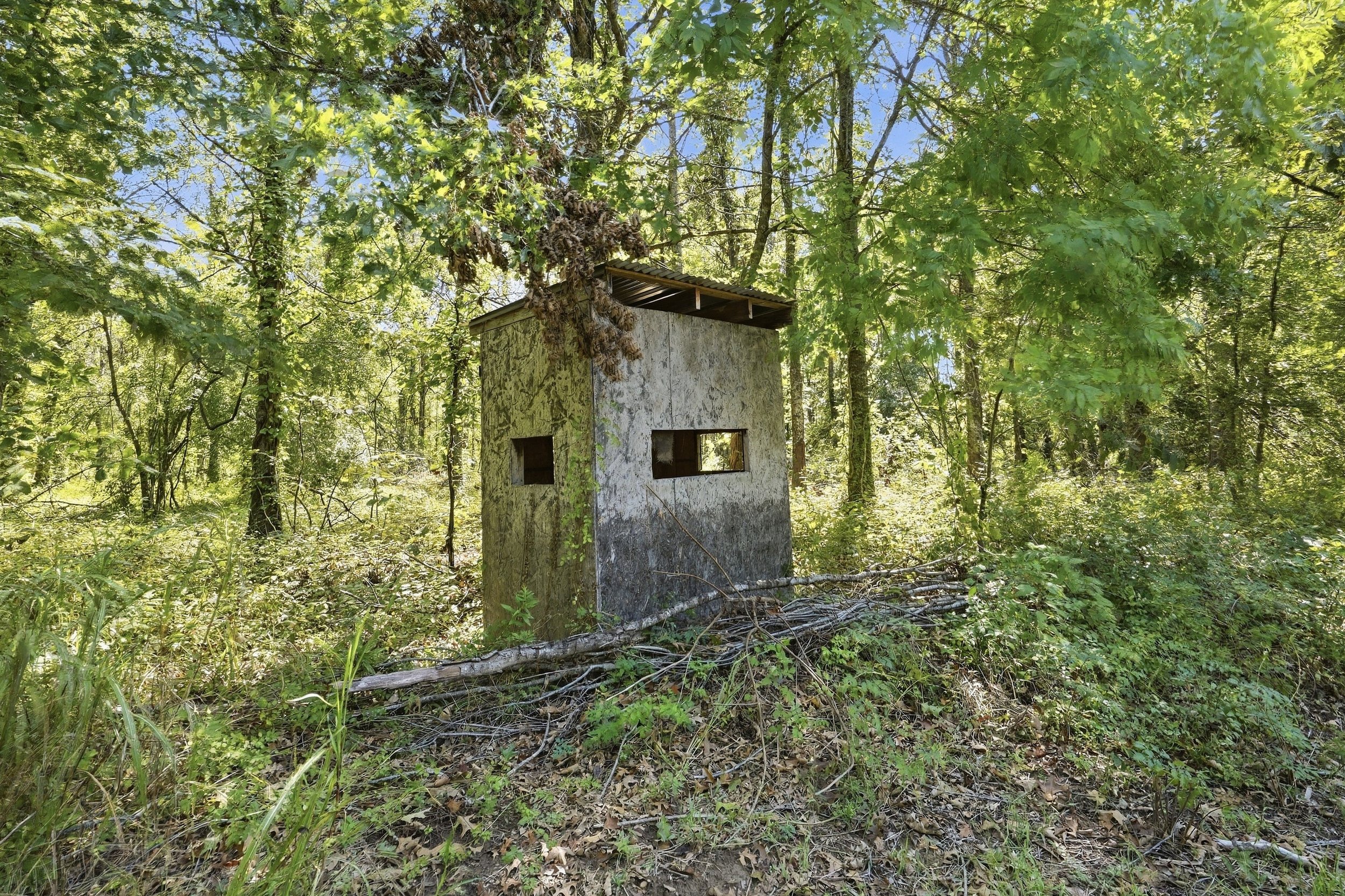 1501_Big_Widow_Bayou_HDR_017.jpg