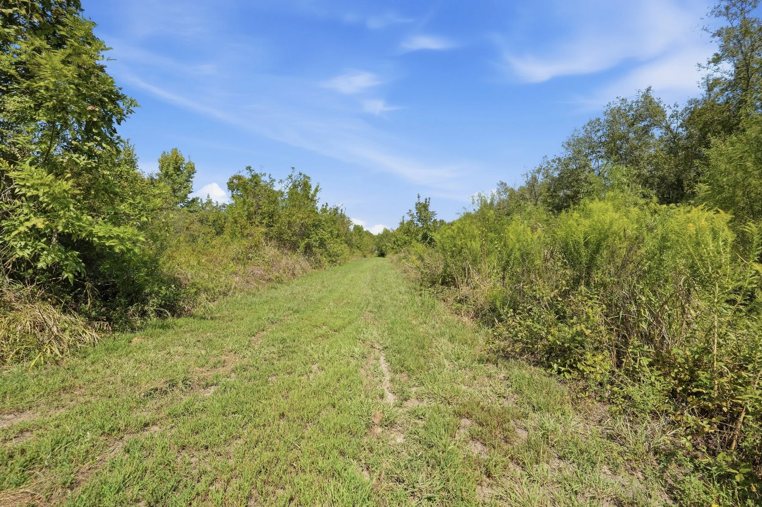 1501_Big_Widow_Bayou_HDR_029.jpg