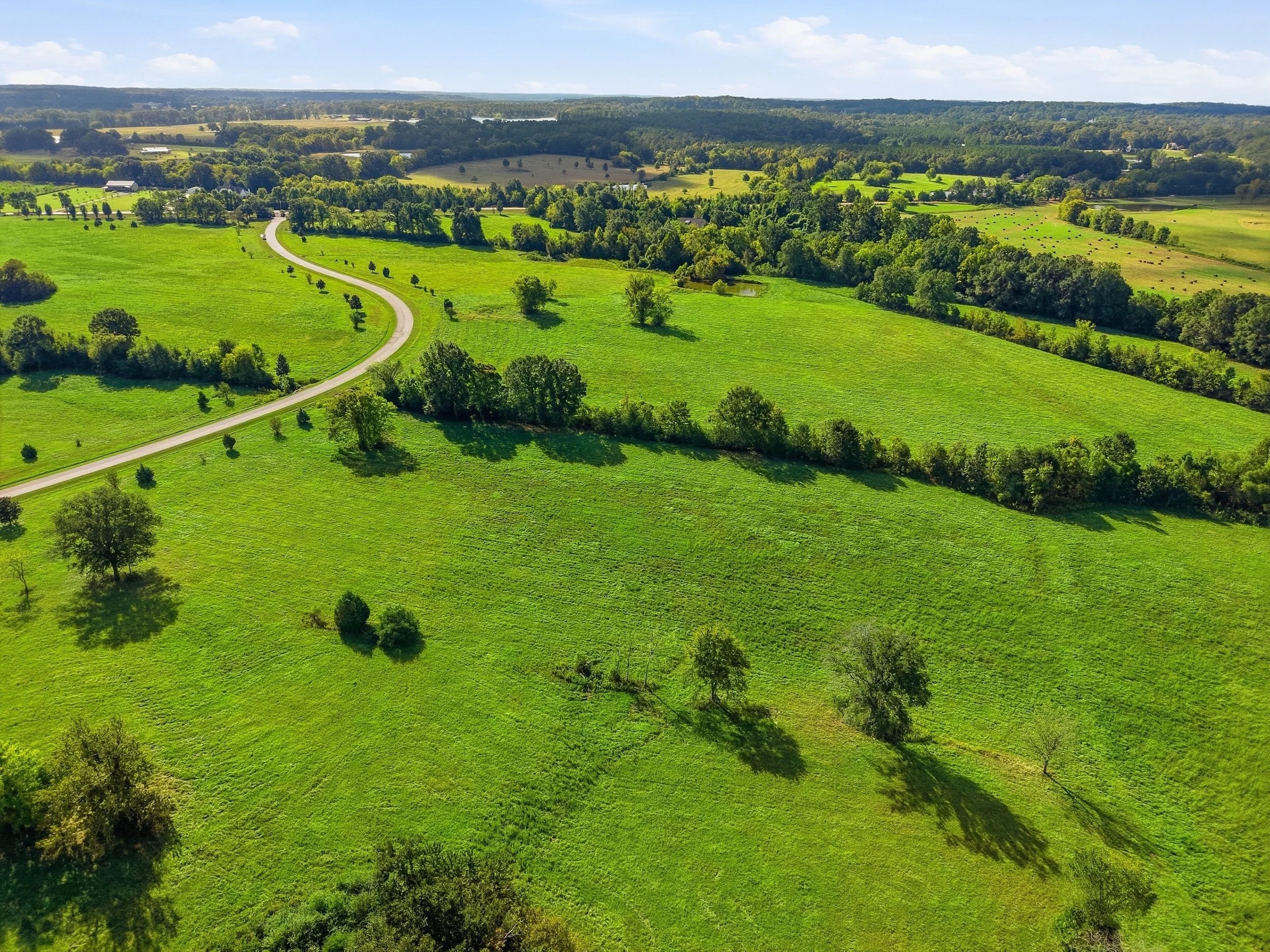 Andover_Large_Lot_014.jpg