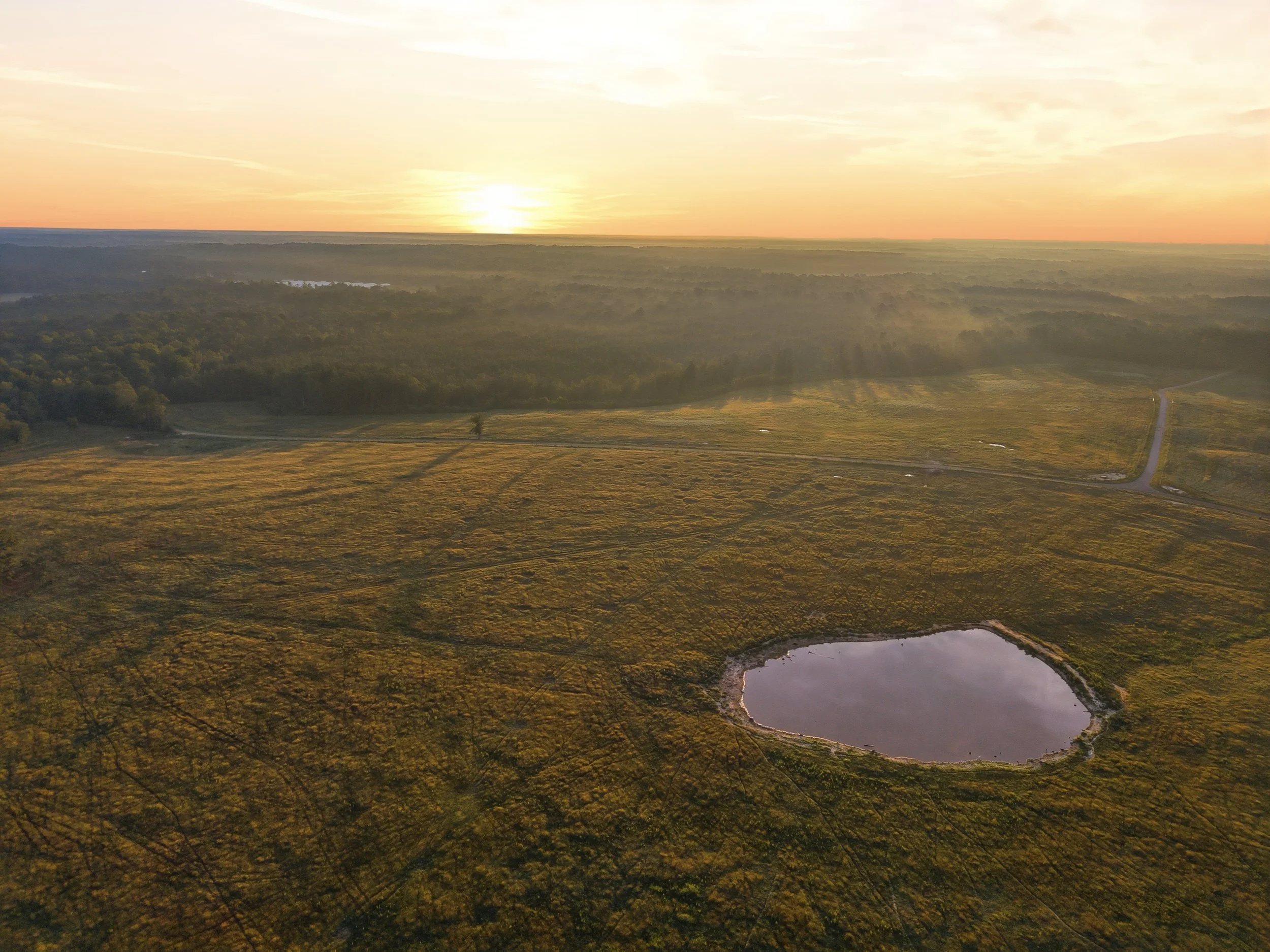 275_Sam_Graham_Drone_007.jpg