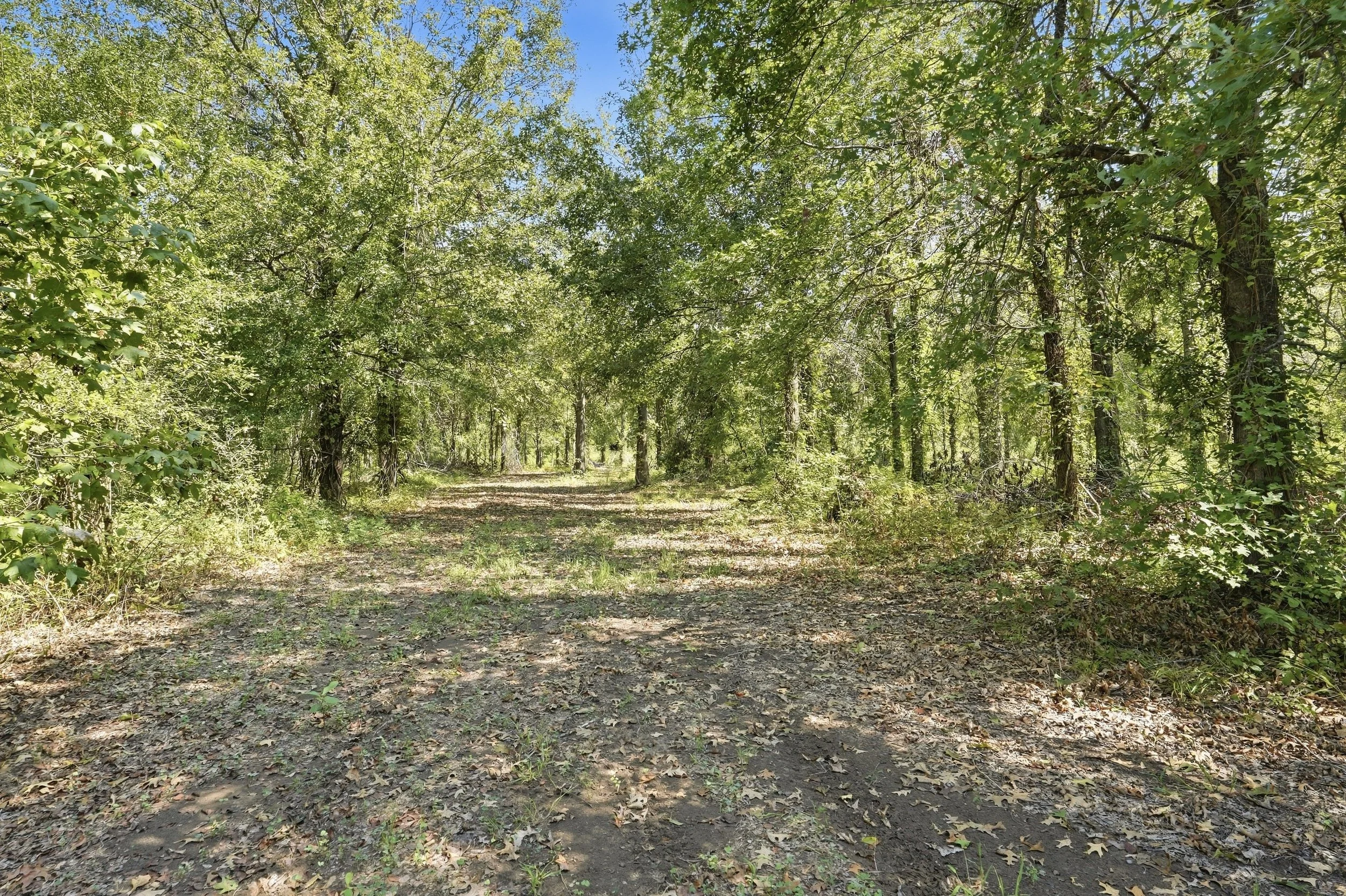 1501_Big_Widow_Bayou_HDR_019.jpg