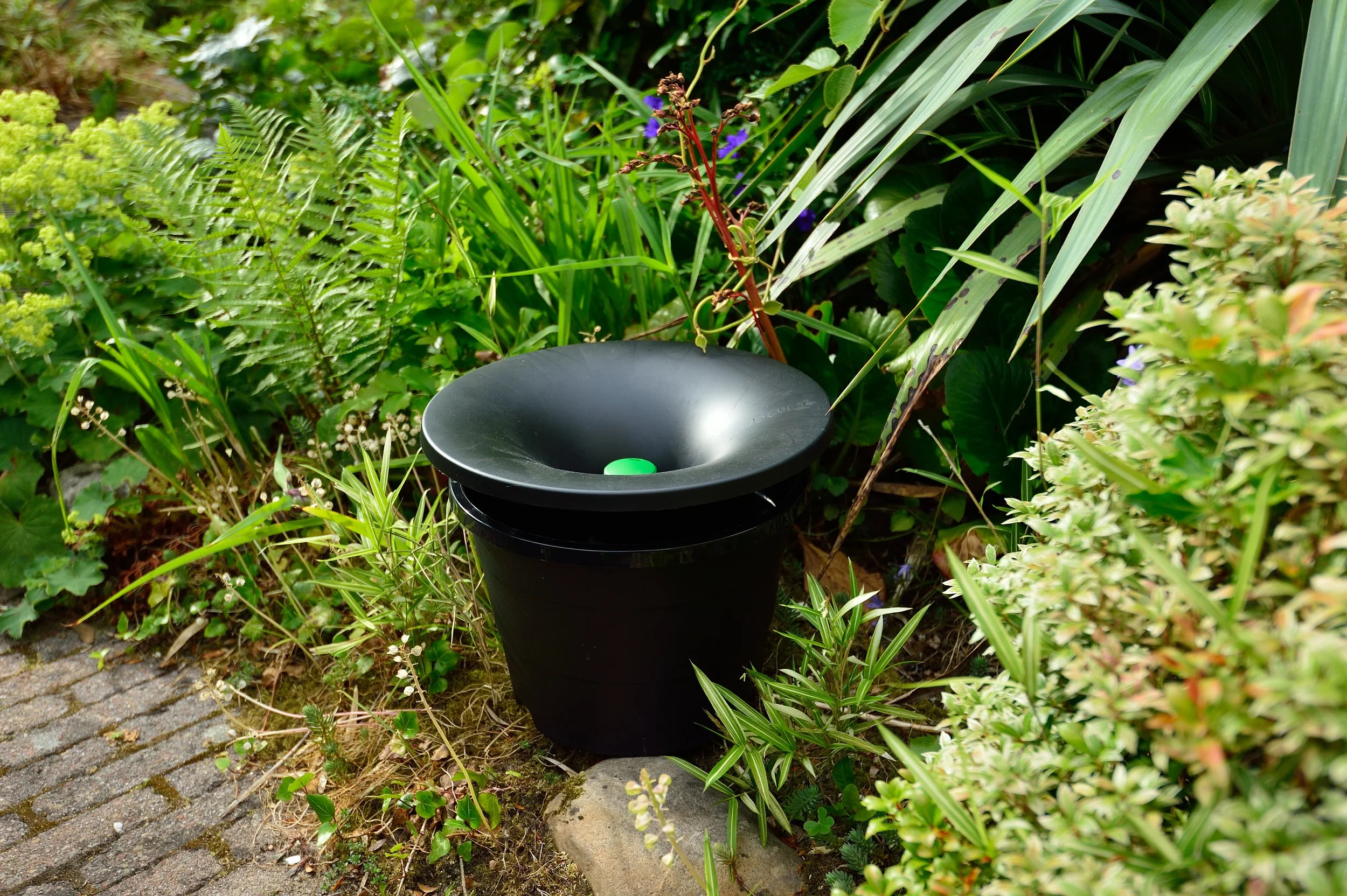 Outdoor garden scene featuring an In2Care bucket surrounded by various green plants and flowering shrubs.