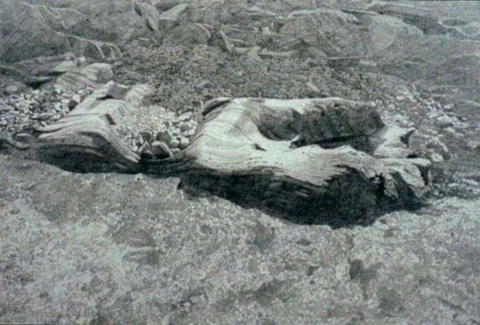 뉴햄셔의 골짜기, 1981, Pencil on paper, 10 1/4 x 15 inches (26 x 38 cm)