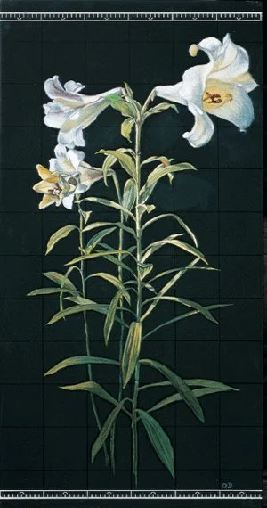 Lily, 2002, Oil pastel on chalkboard, 47.2 × 23.6 in (120 x 60 cm)