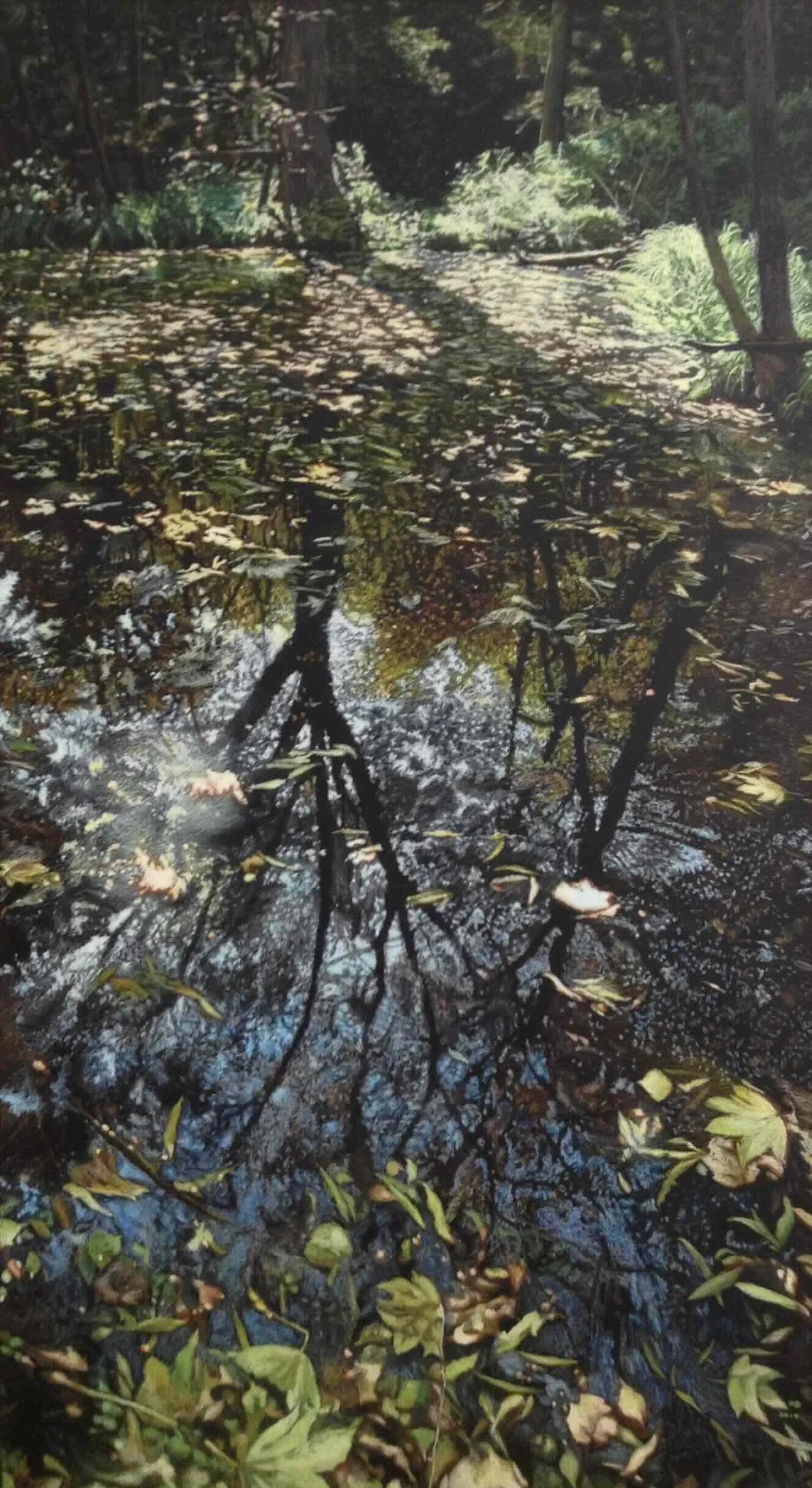 Fall, 2015, Oil pastel on chalkboard,  211.5x122cm, 83 1/4 x 48 inches (211.5 x 121.9 cm)