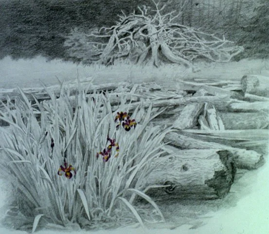 난파선의수선, 1986, Pencil on paper, 10 1/2 x 11 7/8 inches (26.5 x 30 cm)