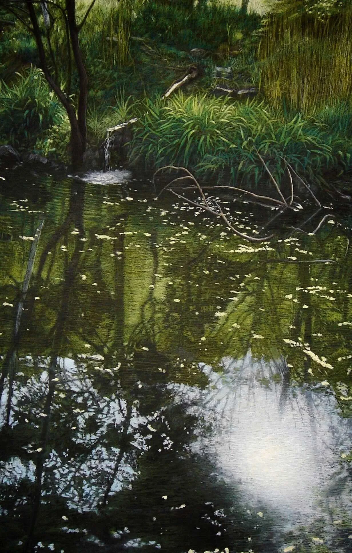 Summer, 2007, Oil pastel on chalkboard, 63 x 45 inches (160 x 114 cm)