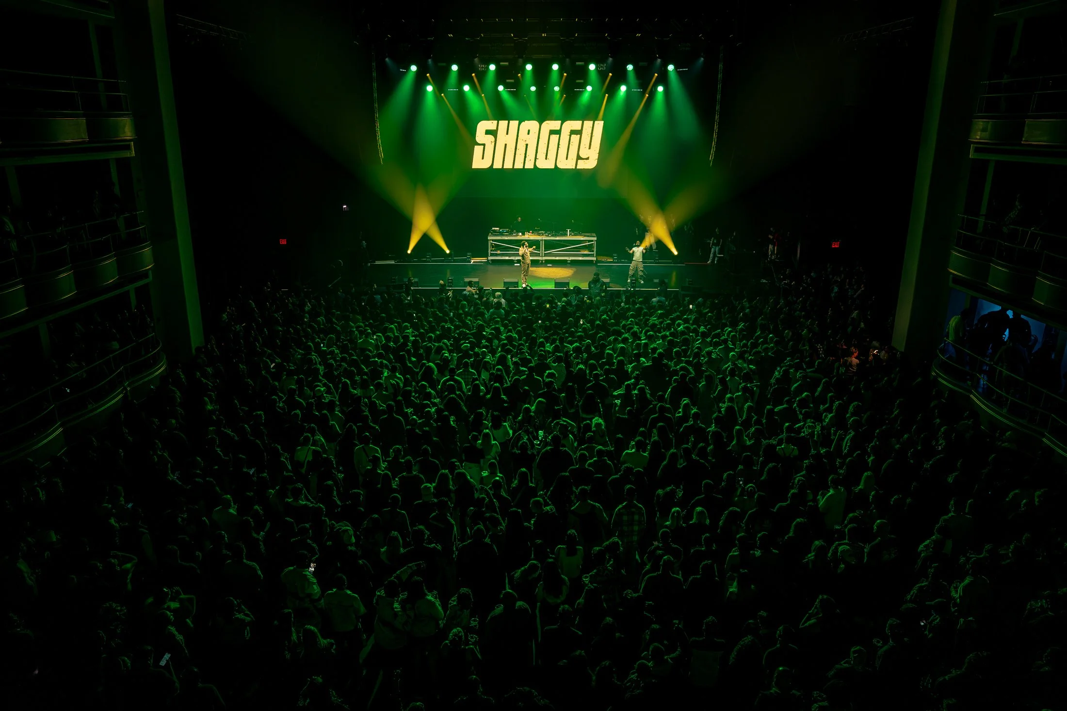 LiamWinn_Shaggy-3.jpg