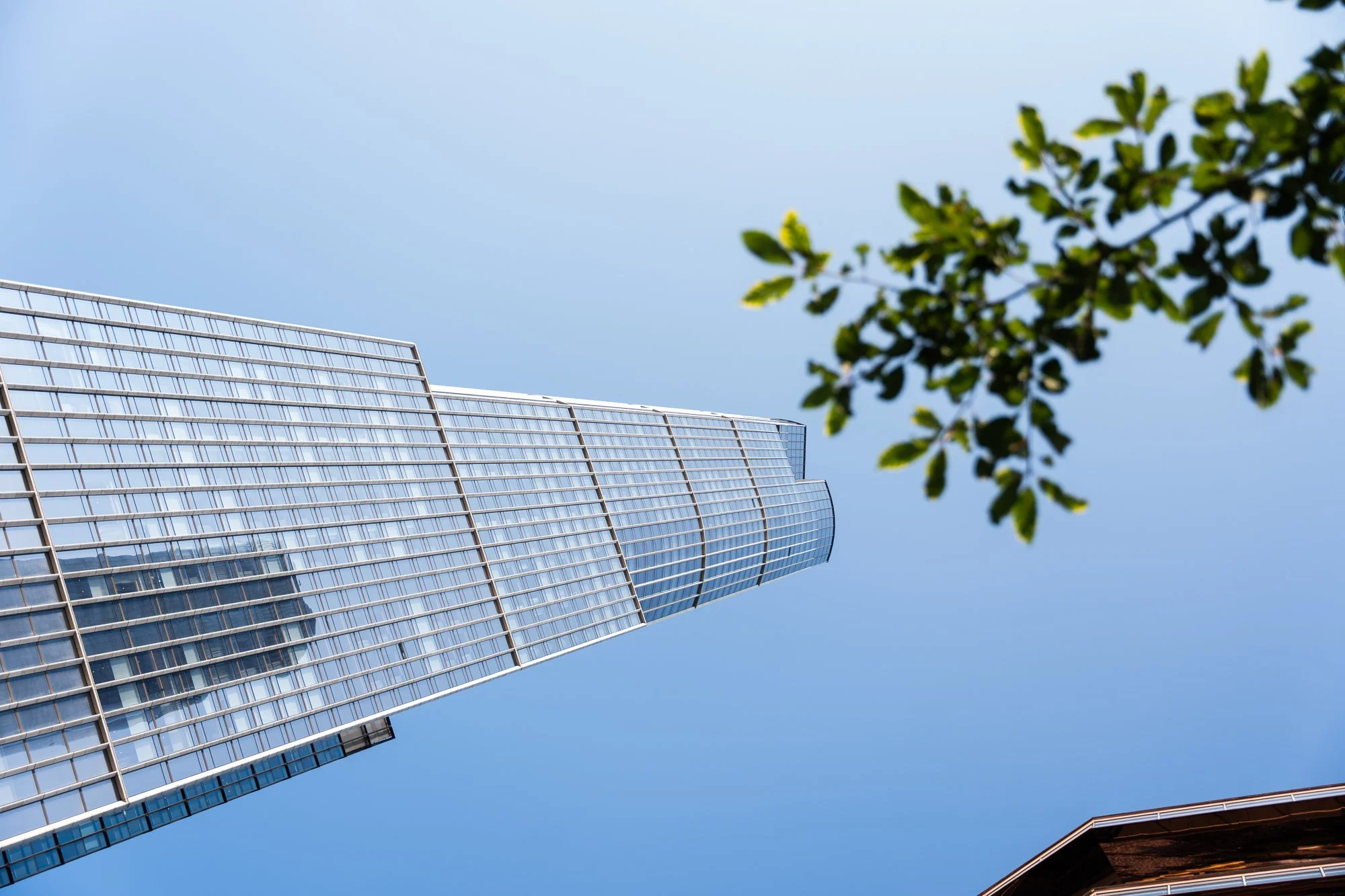 Summer Bash 2025 - Julia-31.jpg