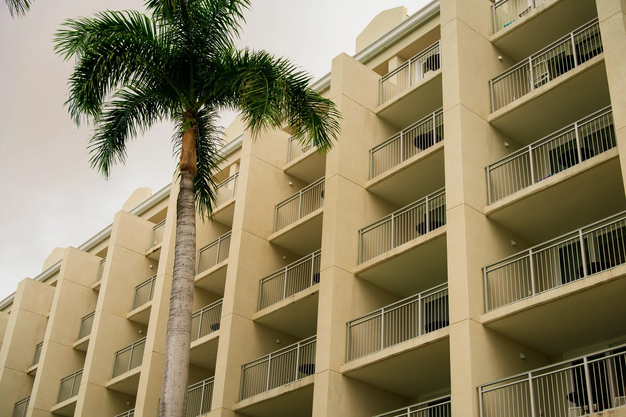 St Thomas 2025-20.jpg