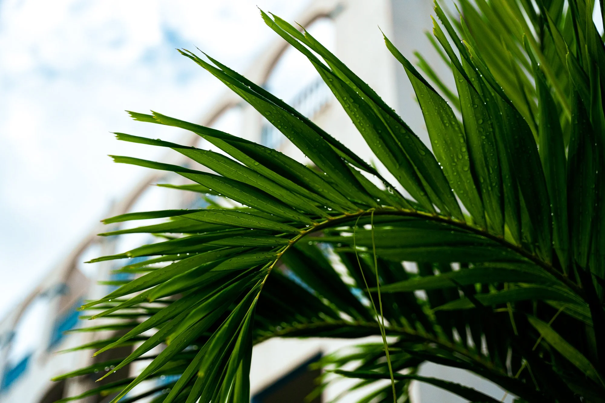 St Thomas 2025-7.jpg