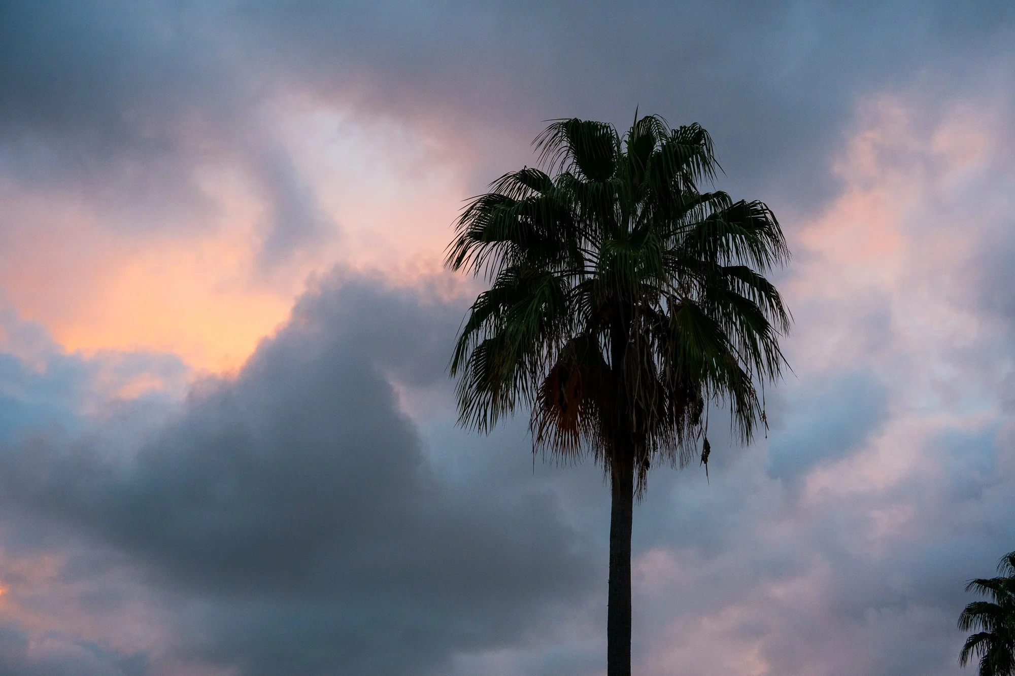 St Thomas 2025-10.jpg