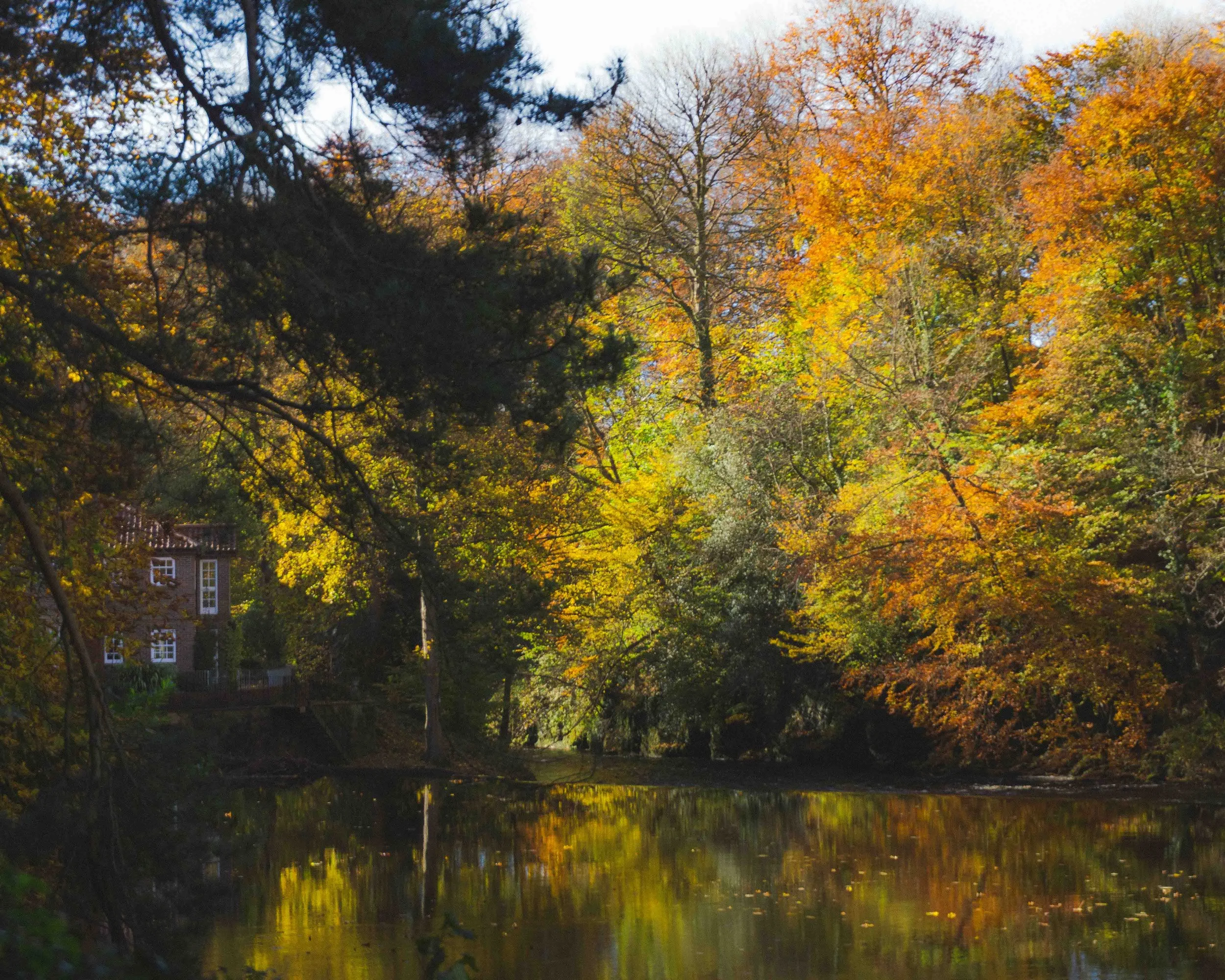 Autumn scene of a river surrounded by colorful fall foliage with a house partially visible through the trees