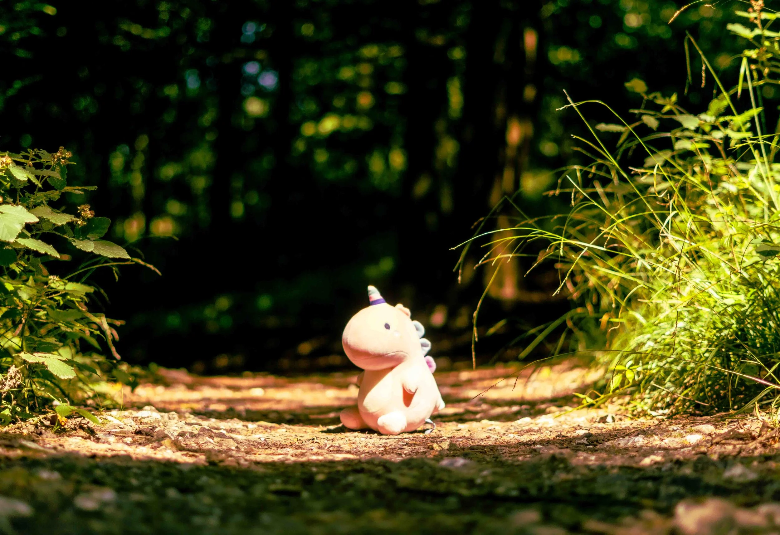 A plush unicorn toy sitting on a dirt path in a forest, with sunlight filtering through the trees.