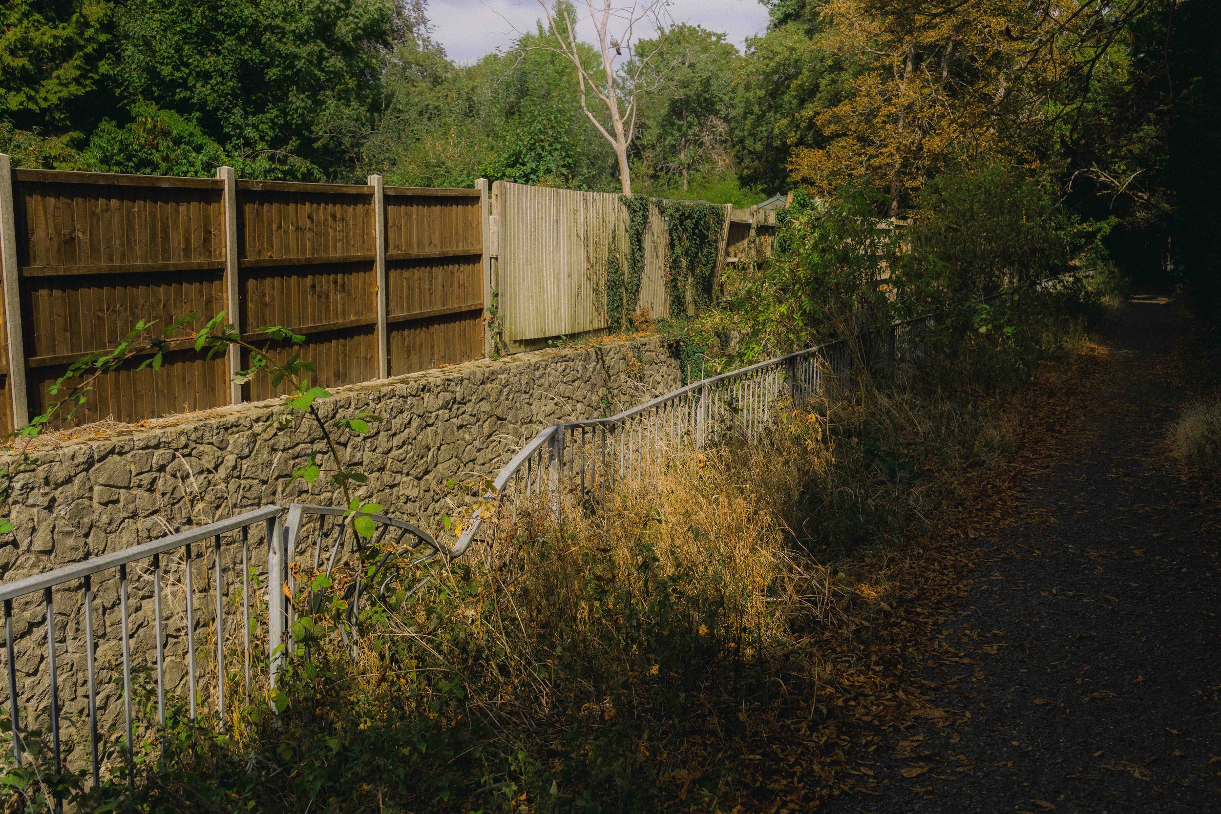 A dirt path on the right side with fallen leaves, flanked by overgrown vegetation. A stone retaining wall supports a wooden fence and mature trees in the background.