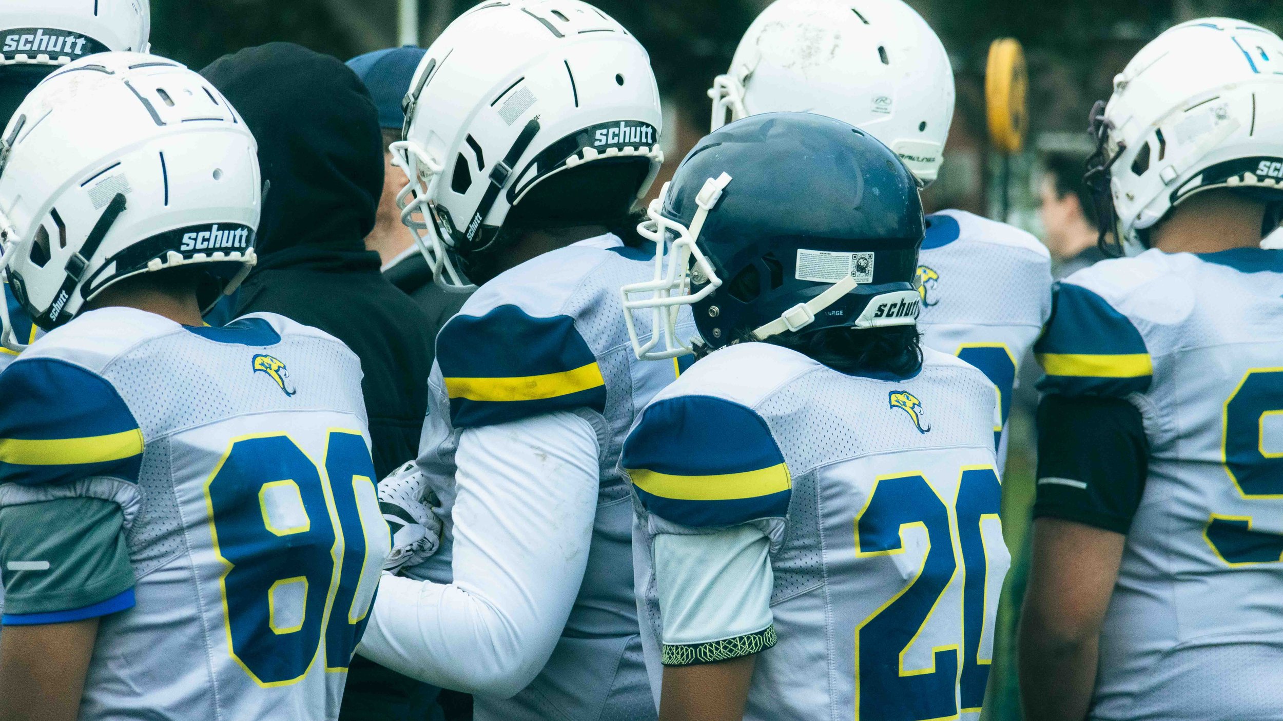 Football players gathered together on the field, wearing white uniforms with blue and yellow accents and helmets, during a game or practice.