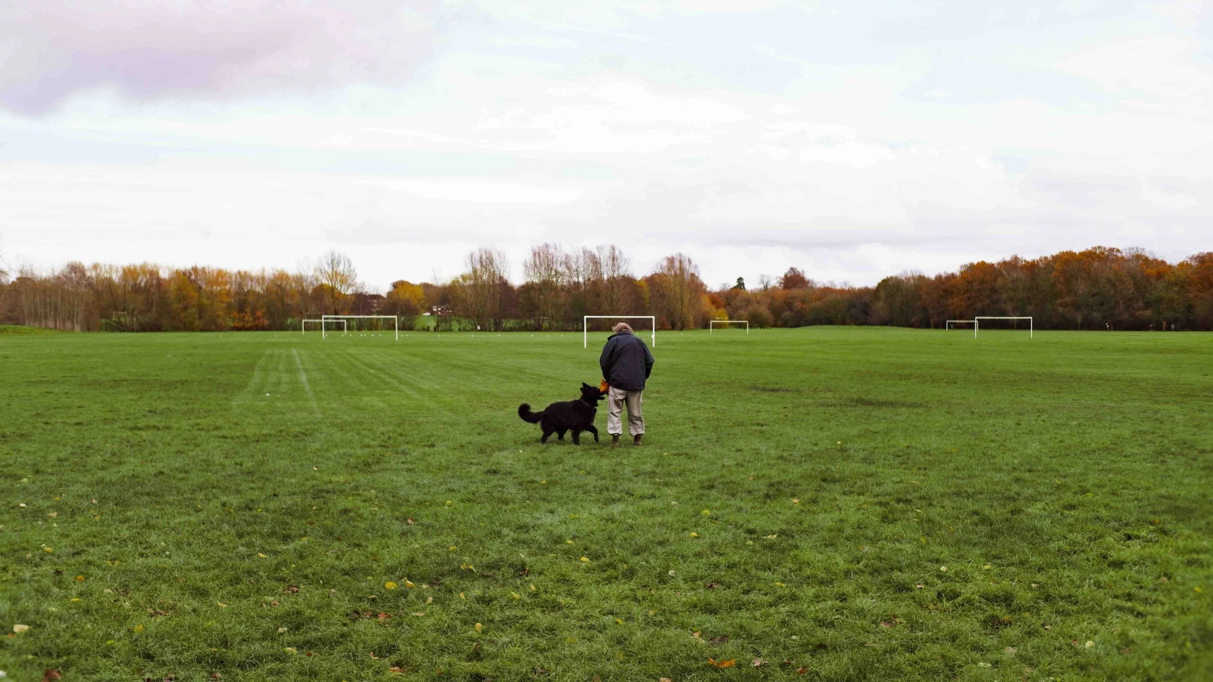 A person walking with a black dog across an empty grassy field with goal posts in the distance and trees with fall foliage underneath a cloudy sky.