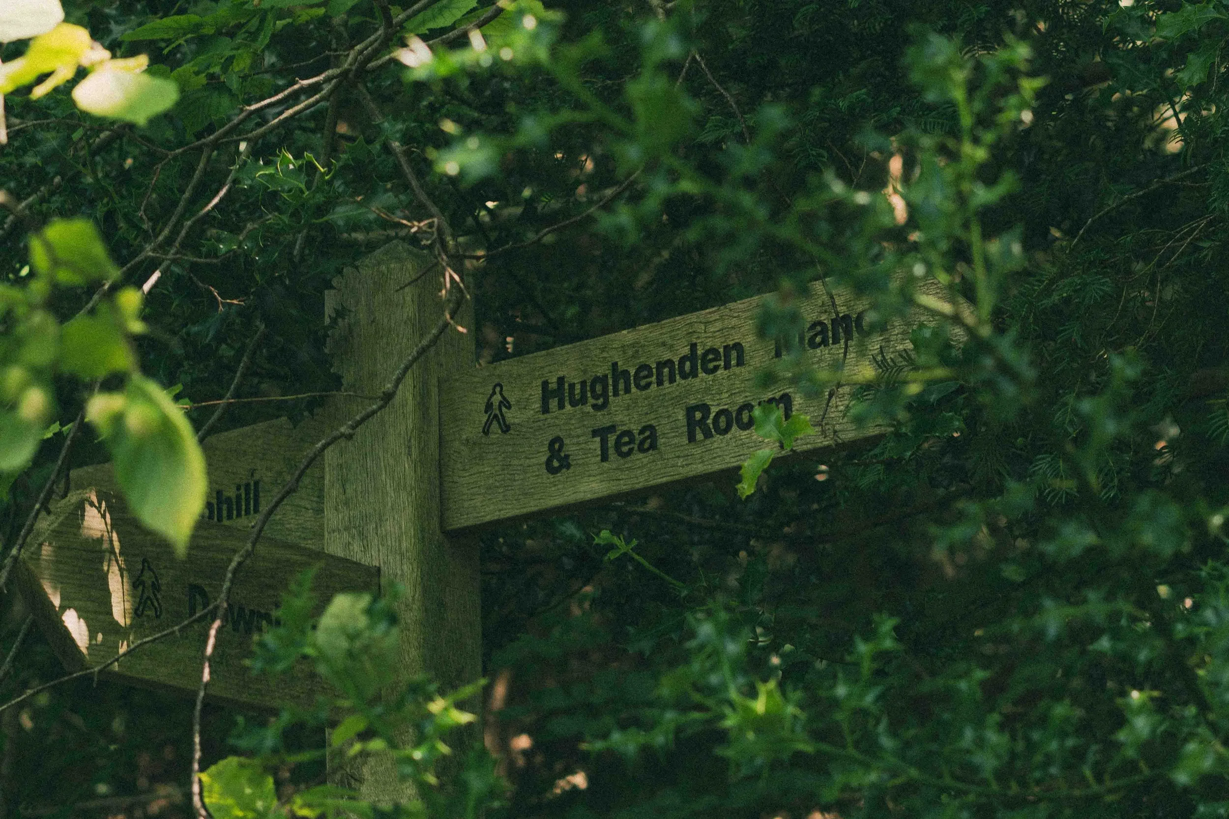 Wooden signpost with directions, partially obscured by green foliage, indicating 'Hughenden Tahr & Tea Room' and other destinations.